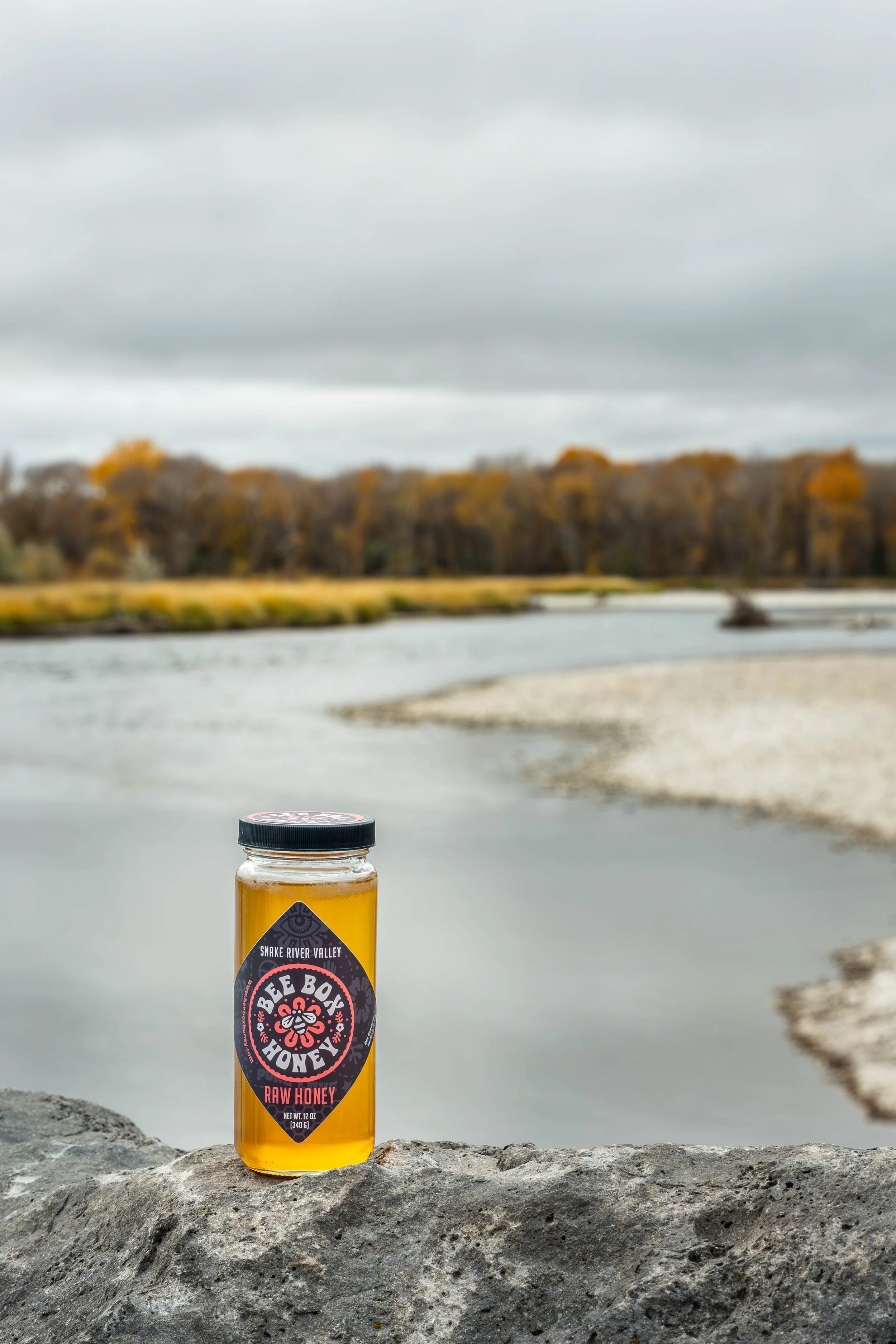 Commercial product photo highlighting honey jar packaging and brand identity in nature.