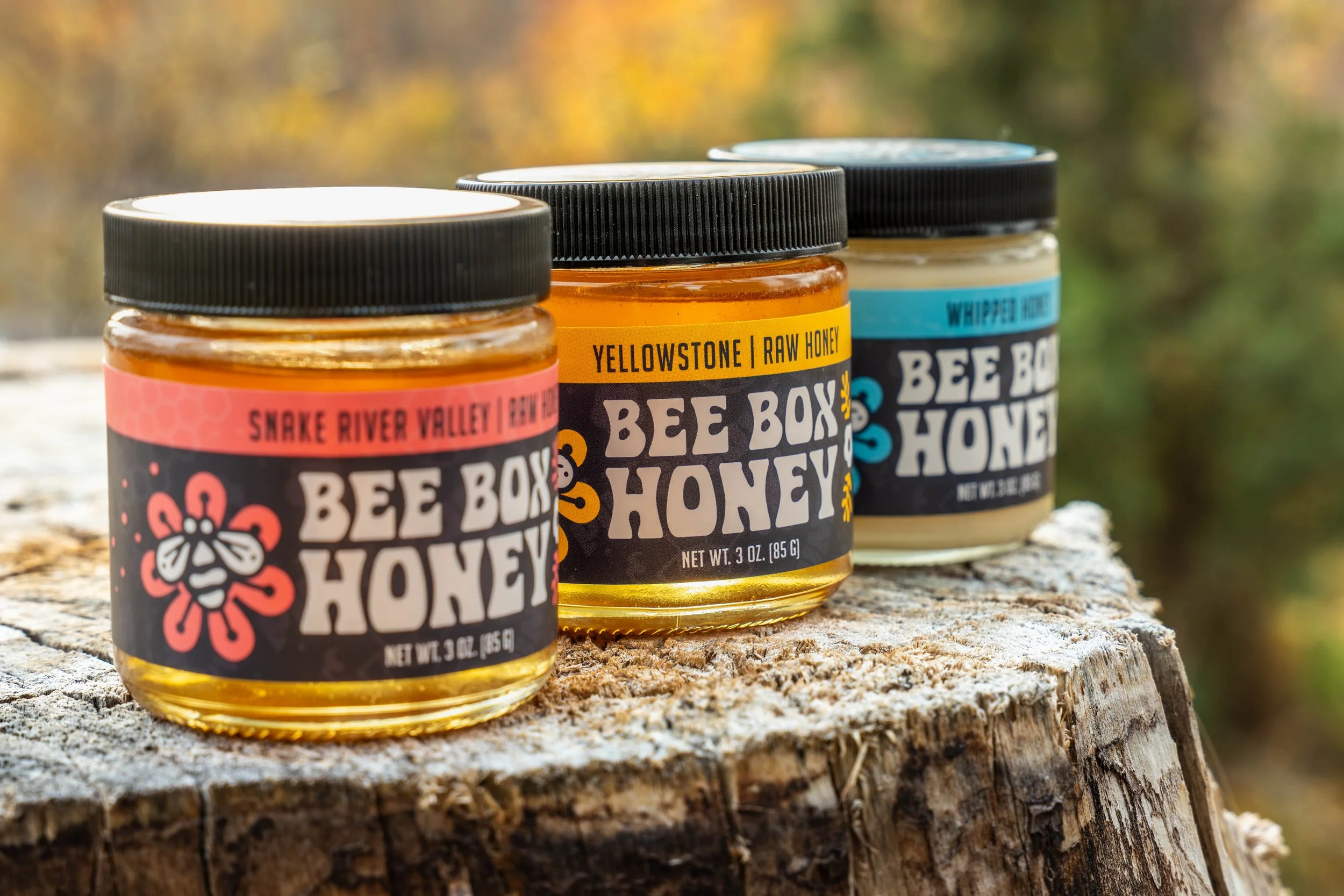Lifestyle branding photography featuring premium honey jars displayed with organic, outdoor elements.