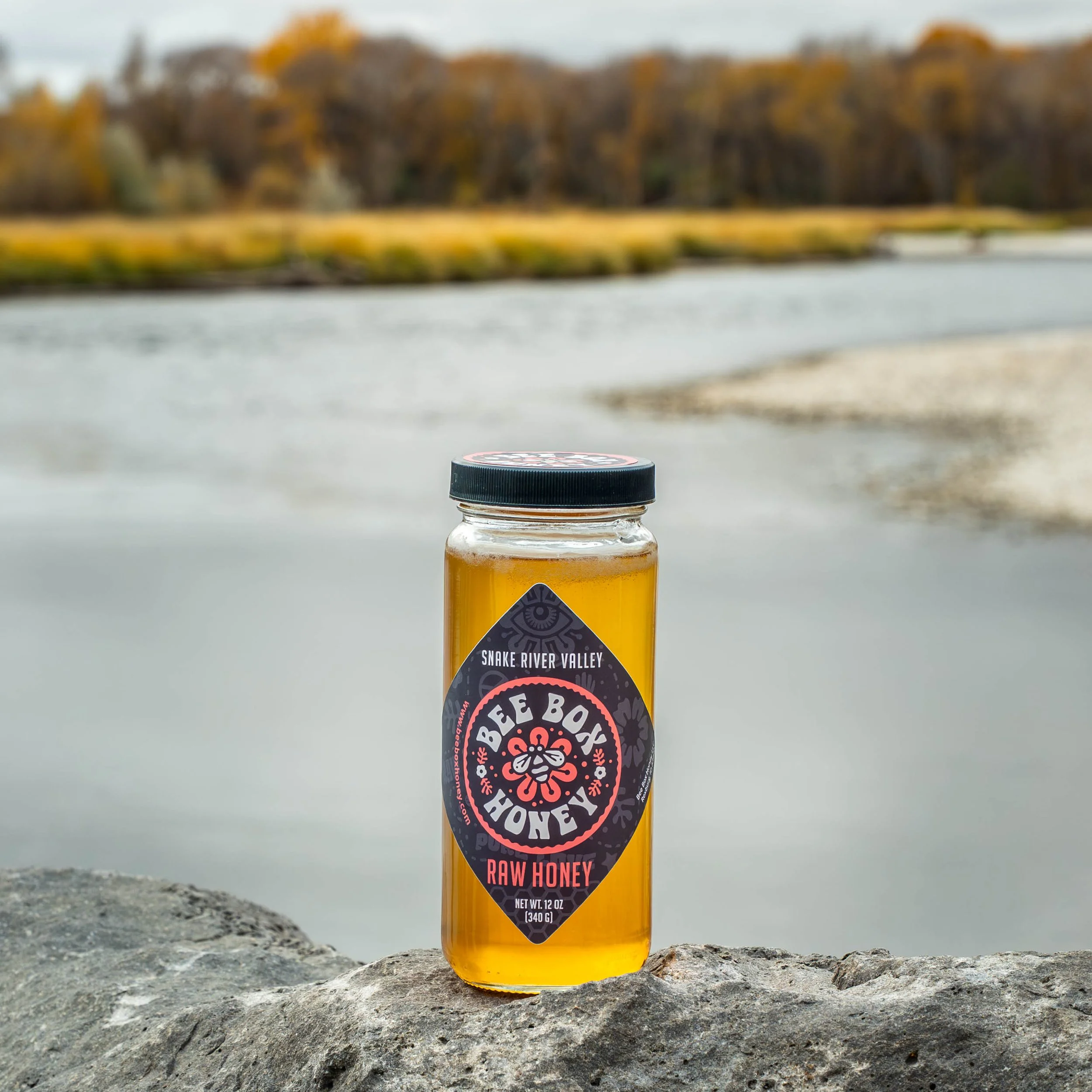 Modern branding photo of premium honey jars arranged outdoors with clean, natural styling.