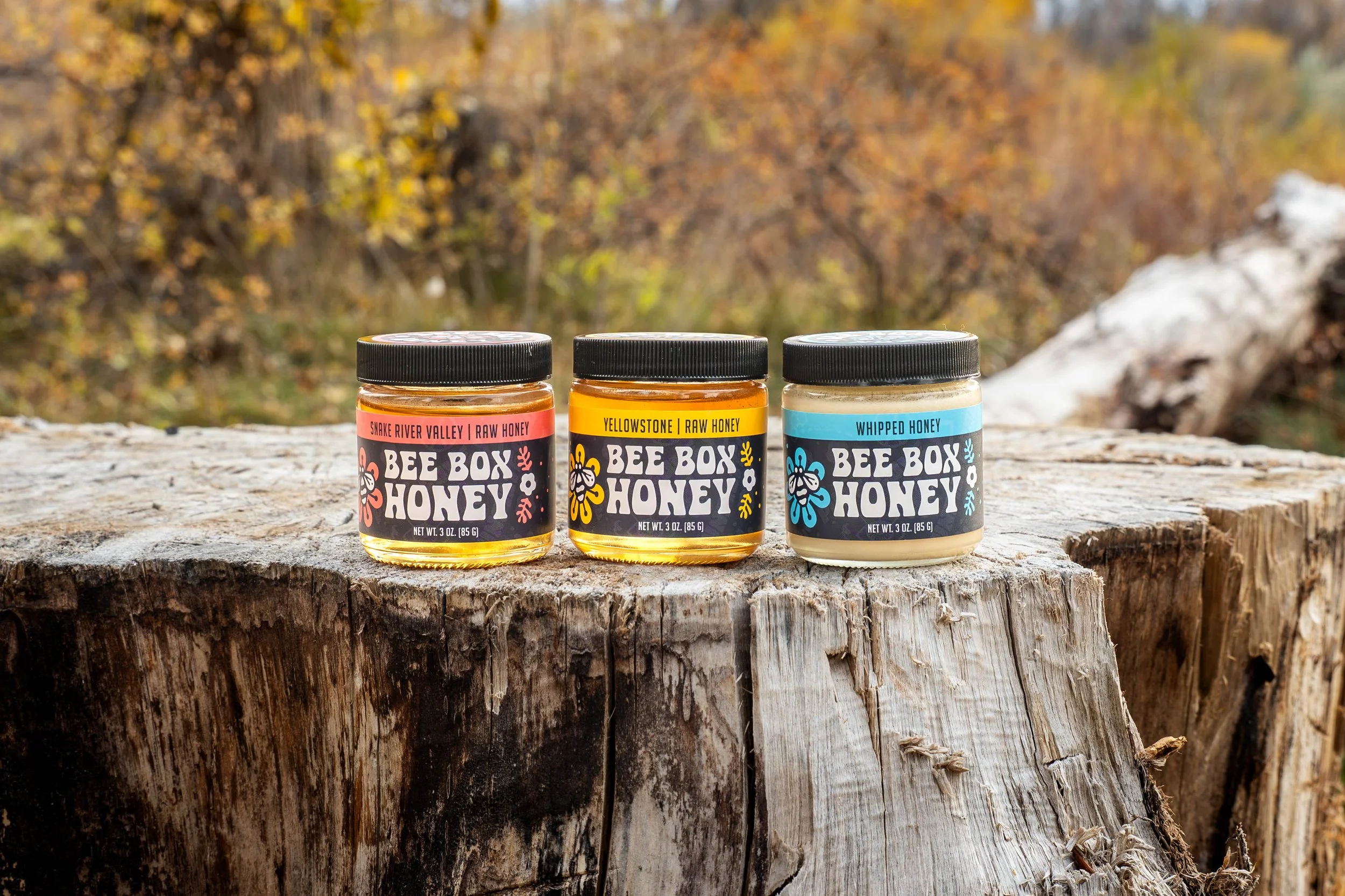 Lifestyle product shot of honey jars arranged in a natural, rustic environment.