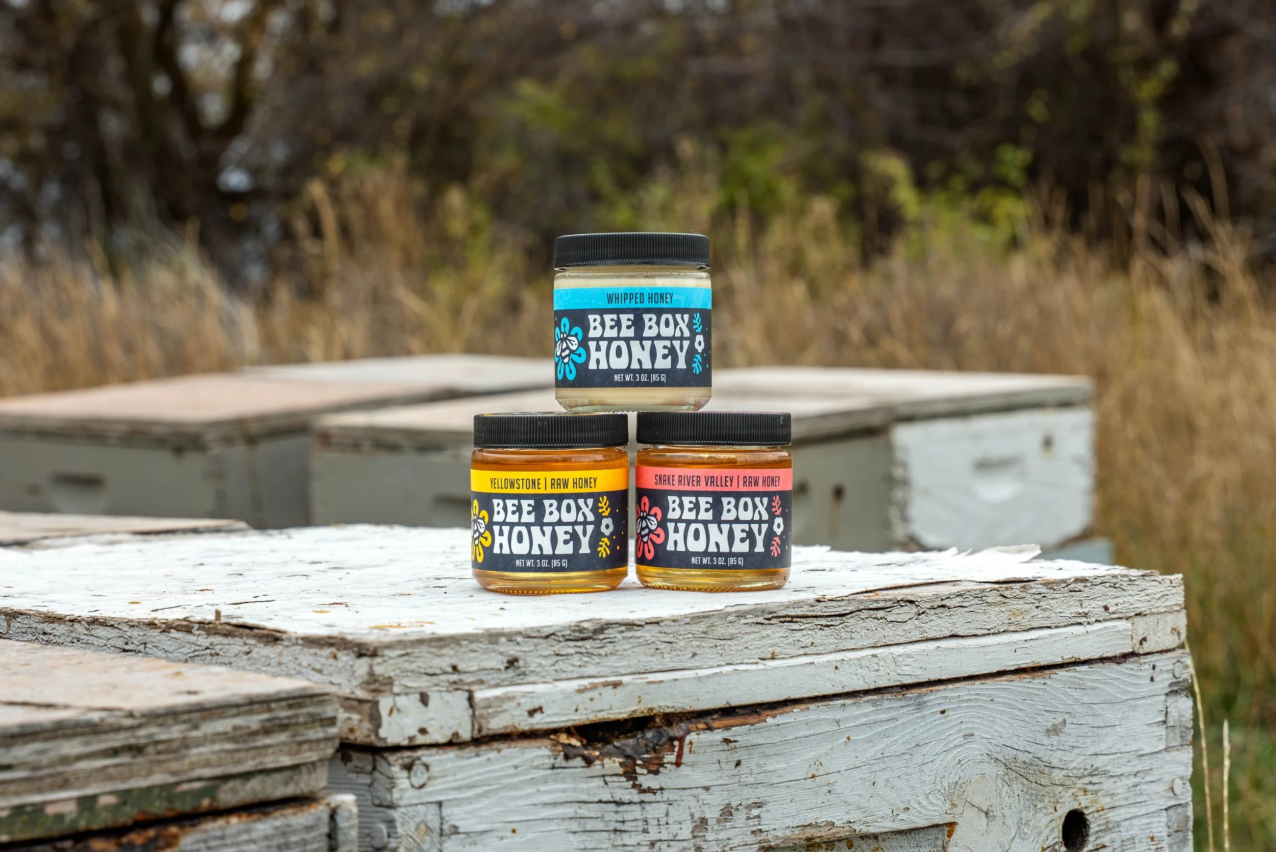 Professional product photo showcasing artisanal honey jars with warm, nature-inspired branding.