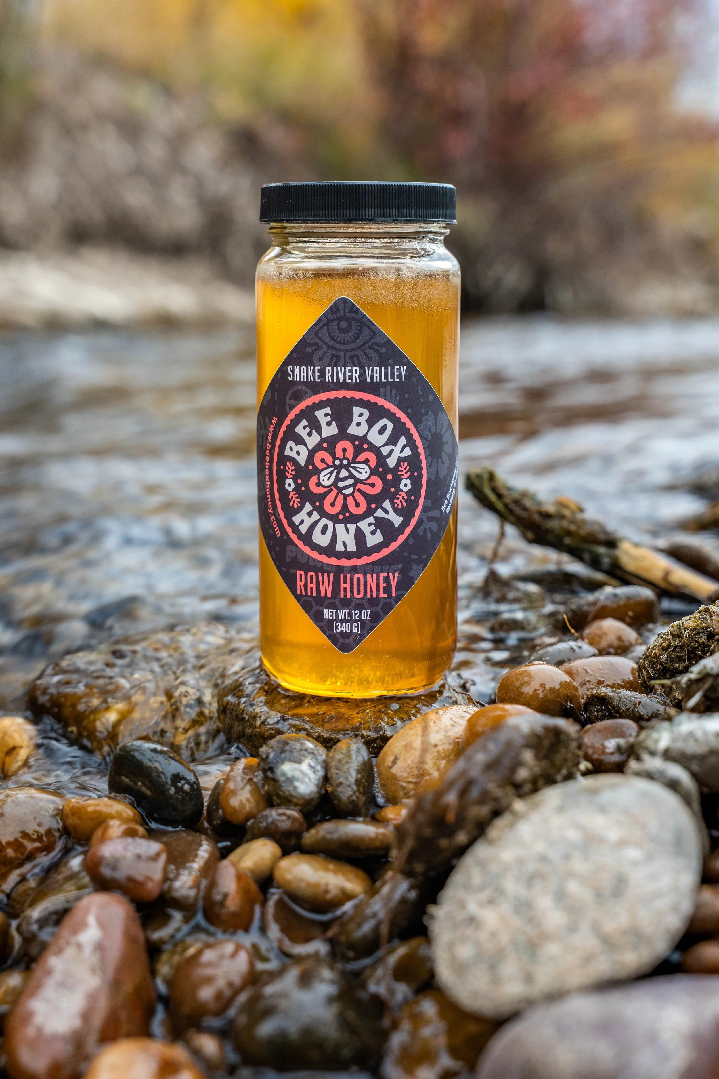 Branding photography of handcrafted honey jars styled outdoors in natural light