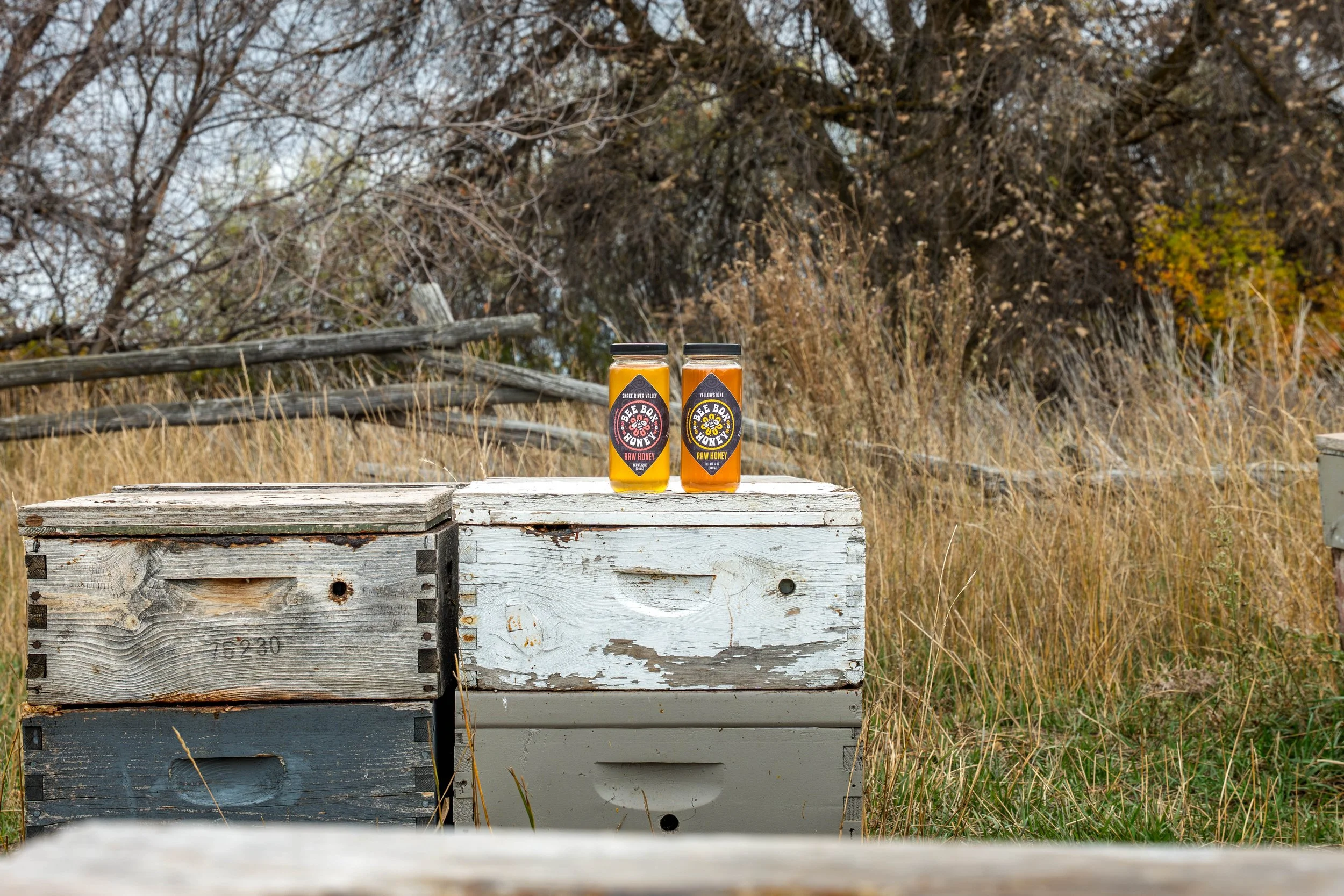 Professional branding image displaying honey jars with clean packaging and natural backdrop