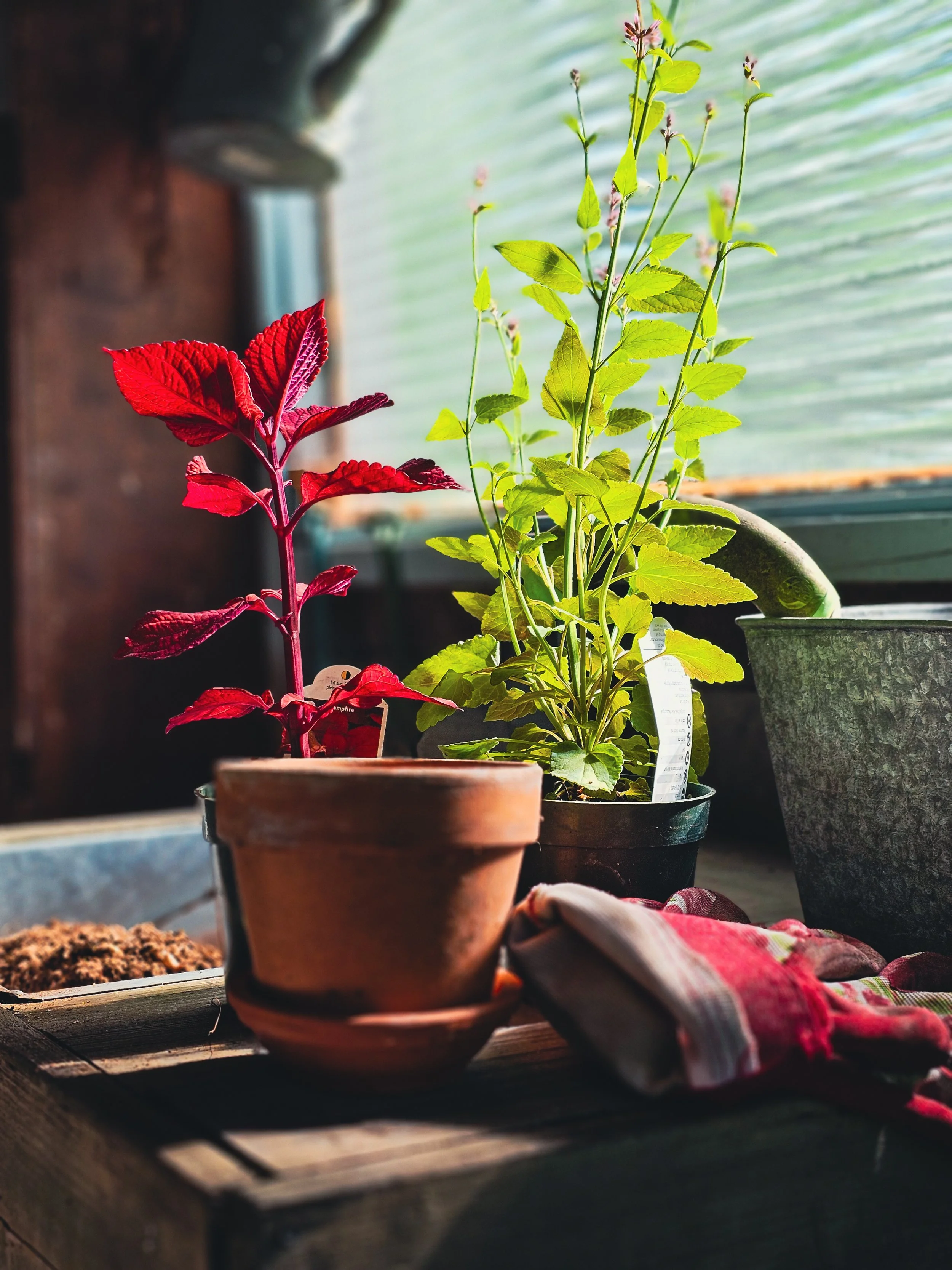 Creating a SHE-Shed