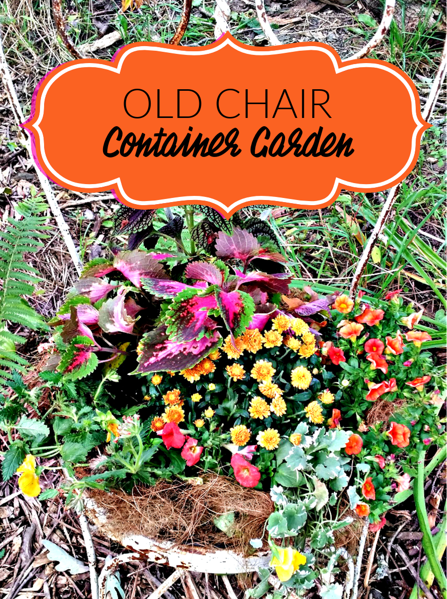 Transform an Old Chair into Container Garden