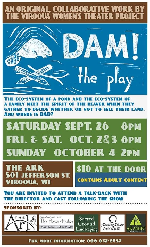 9-26-15-dam-the-play.jpg