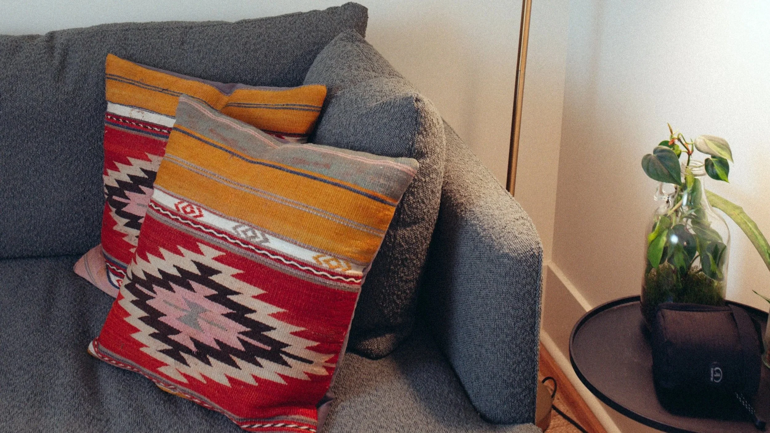 A gray upholstered sofa with two colorful, patterned decorative pillows and a tan and orange striped throw pillow. To the right, a houseplant with green leaves in a glass vase sits on a small table, with a standing lamp nearby.