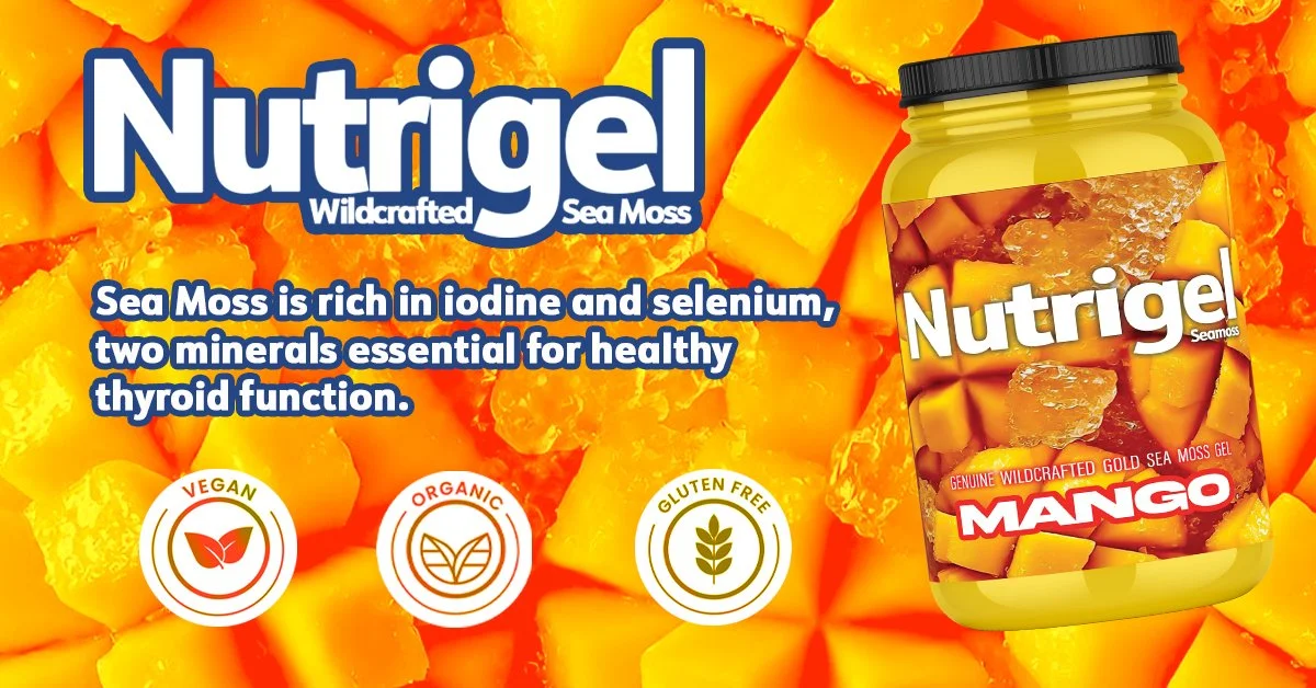 banner23.jpg
