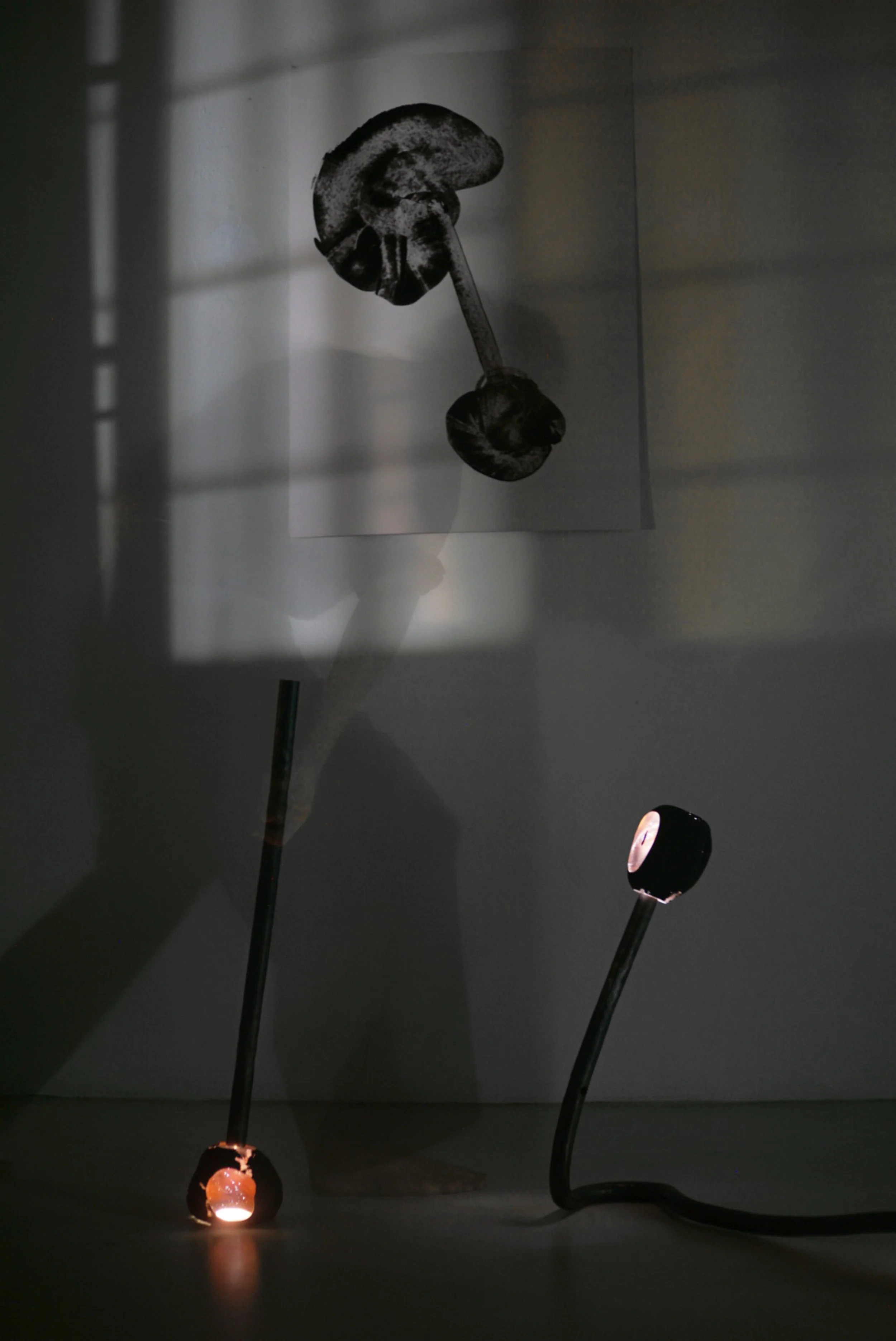 EB WeightLight _ DARK Collection set.jpg