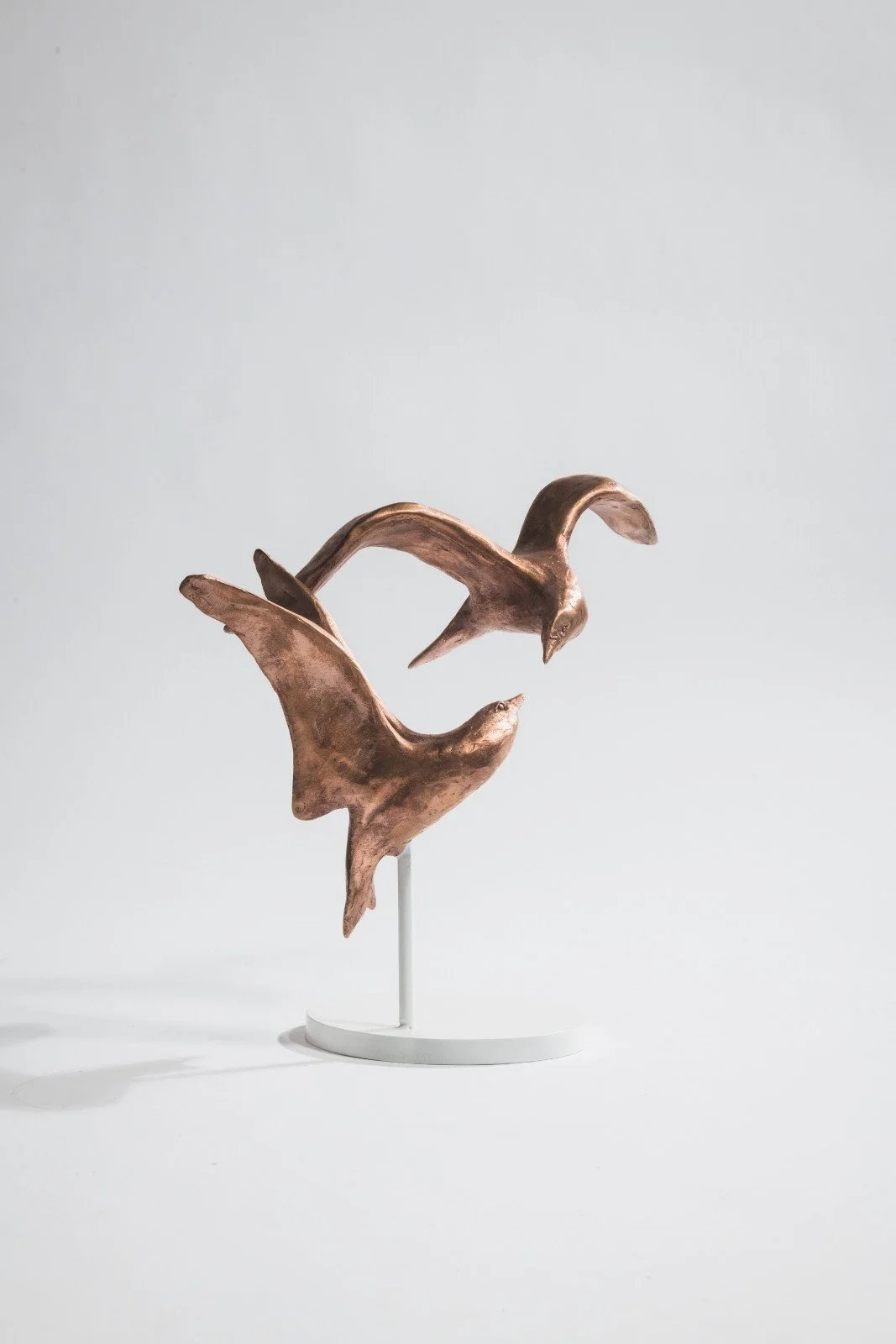 bronzen-vogels_sterns_bird-sculpture_vrije-vlucht_vogelbeeld_kunst_tafelobject_laurens-spier_2025_nr24.jpg