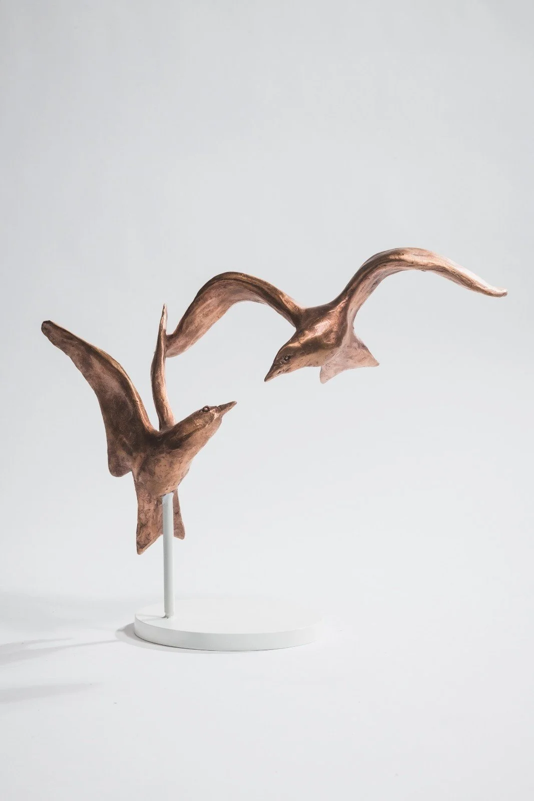 bronzen-vogels_sterns_bird-sculpture_vrije-vlucht_vogelbeeld_kunst_tafelobject_laurens-spier_2025_nr28.jpg