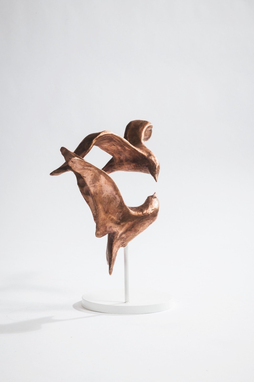 bronzen-vogels_sterns_bird-sculpture_vrije-vlucht_vogelbeeld_kunst_tafelobject_laurens-spier_2025_nr210.jpg