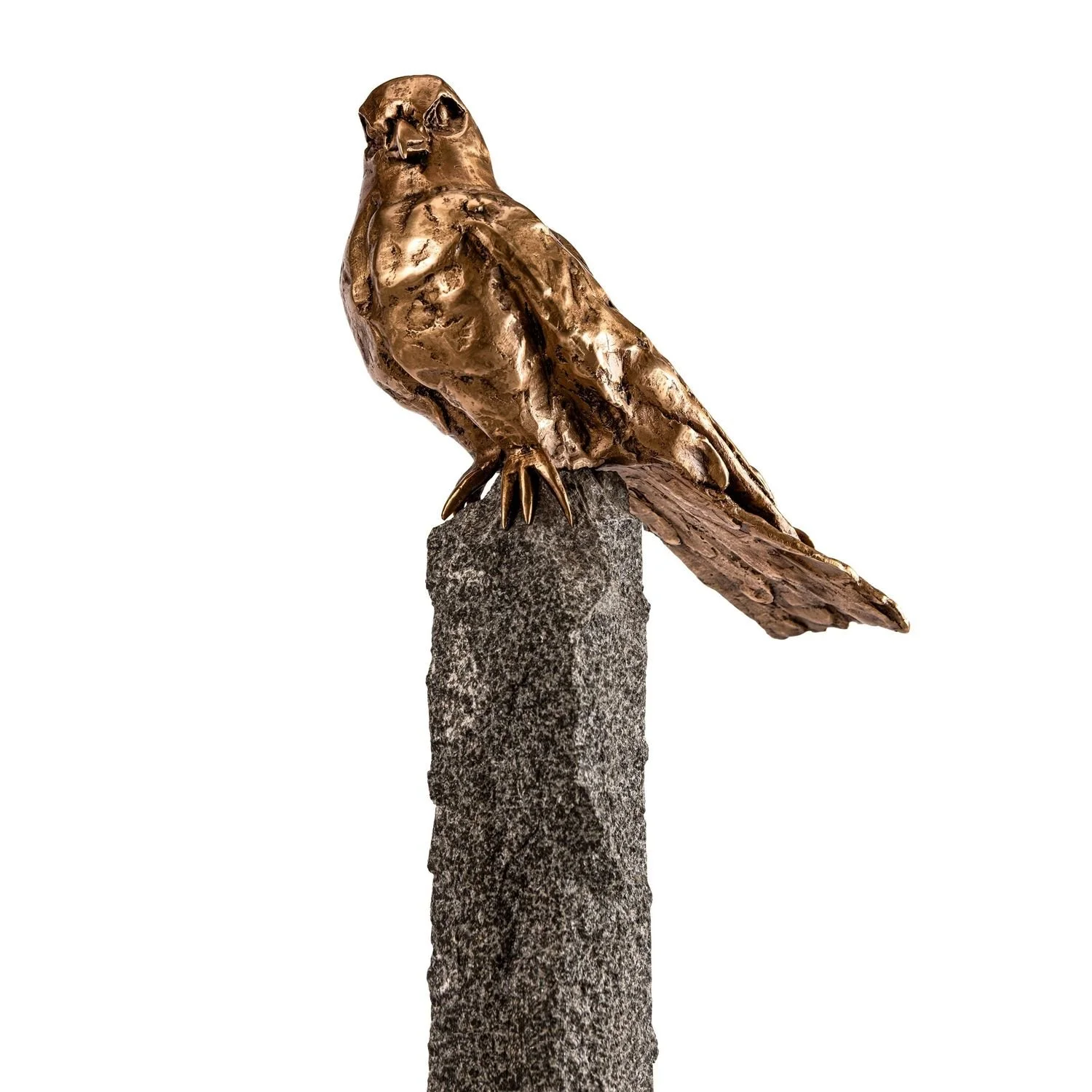 falcon-in-stilte-bronze-bird-sculpture-laurens-spier (6).jpg