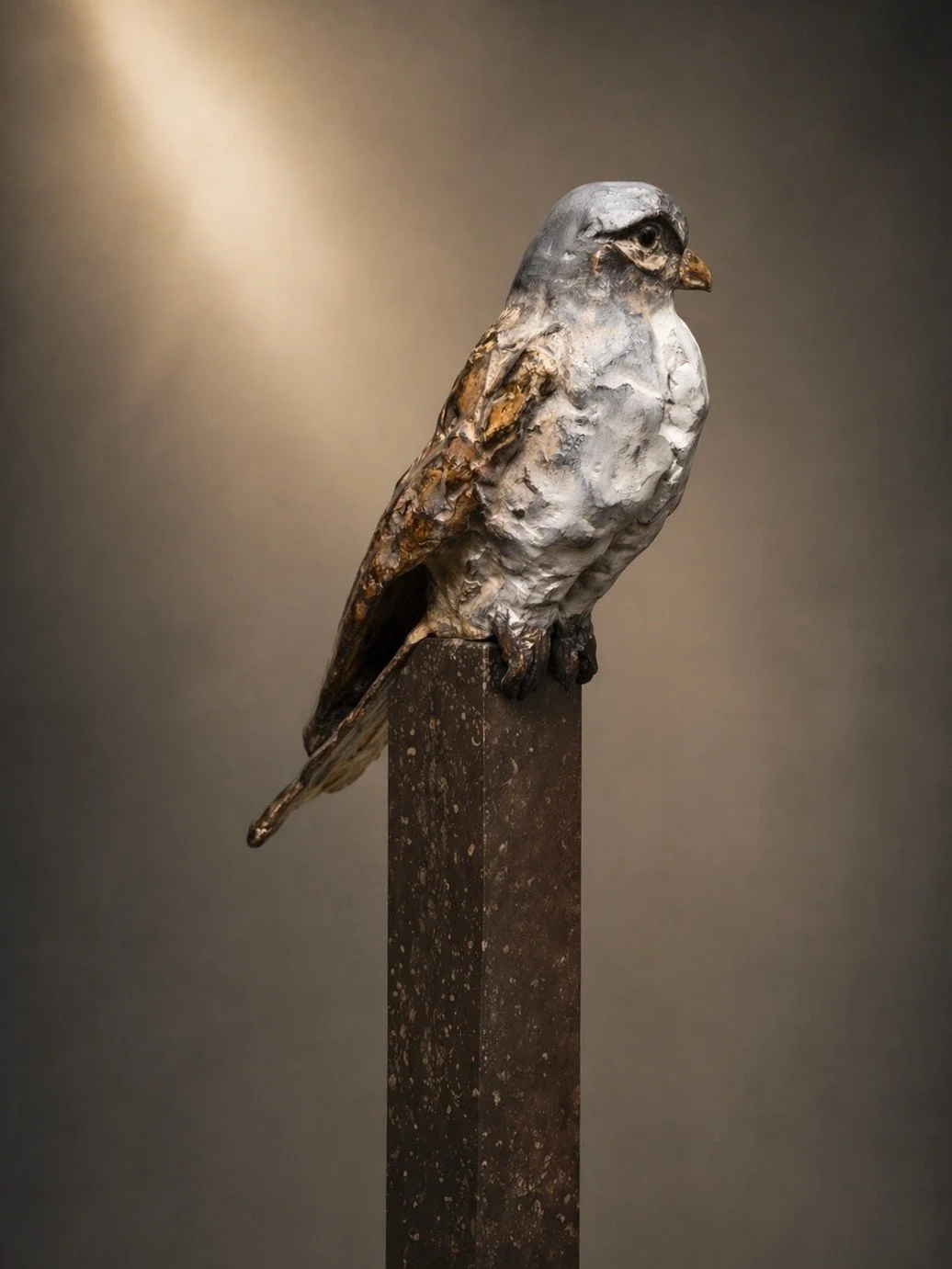 falcon-in-stilte-bronze-bird-sculpture-laurens-spier (10).jpg