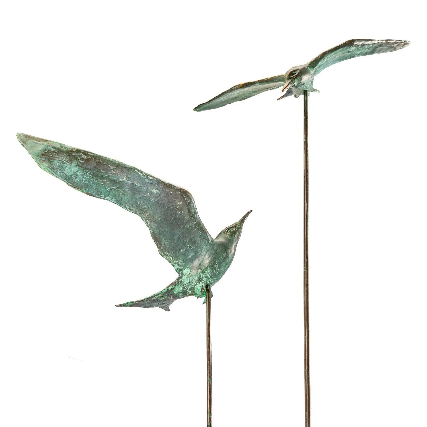 Bronze terns – In Balance  Bronzen Sternen Sculptuur  Laurens Spier (9).JPG