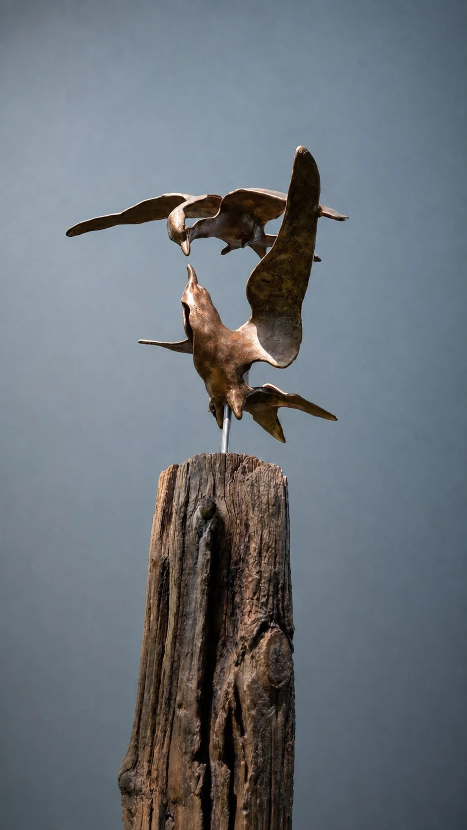 Terns – Connected in Flight  Bronzen Sternen Sculptuur  Laurens Spier (2).jpg