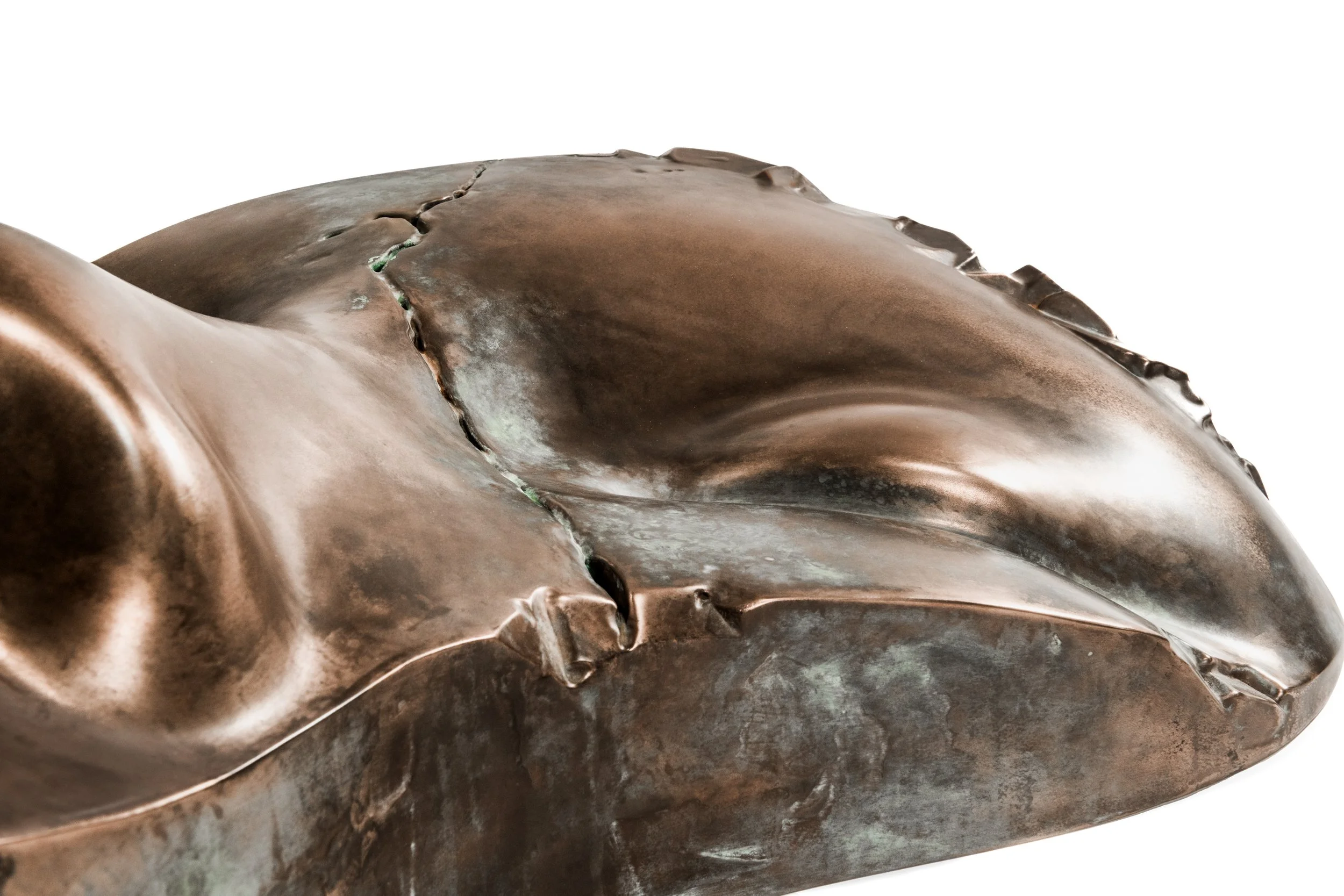 ruines-van-het-zelf_ruins-of-the-self_mask-face-gezicht_brons-bronze_3dprint_hangobject_laurens-spier_2025_120cm (20).jpg