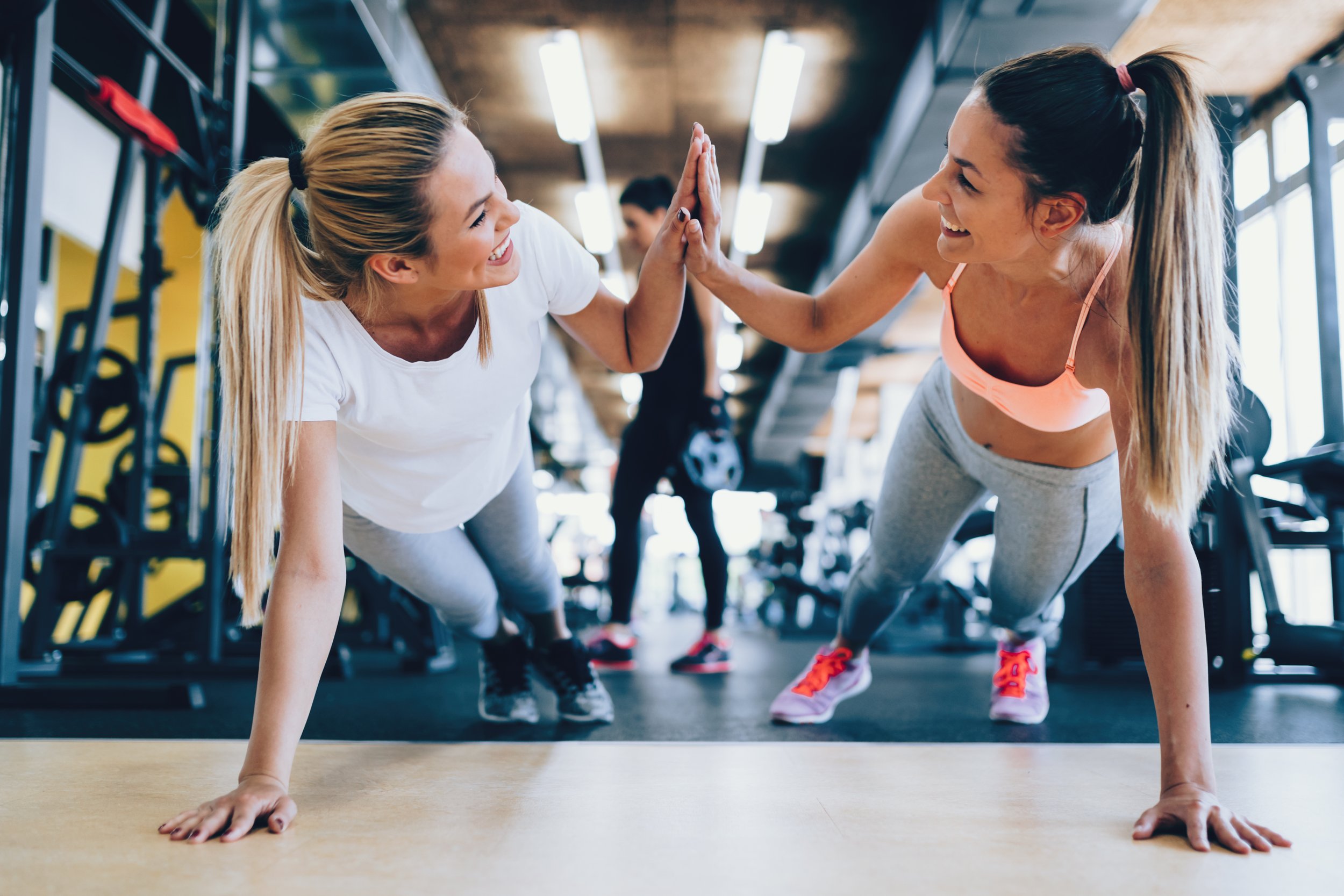 two-attractive-fitness-girls-doing-push-ups-2025-03-13-03-33-56-utc.jpg