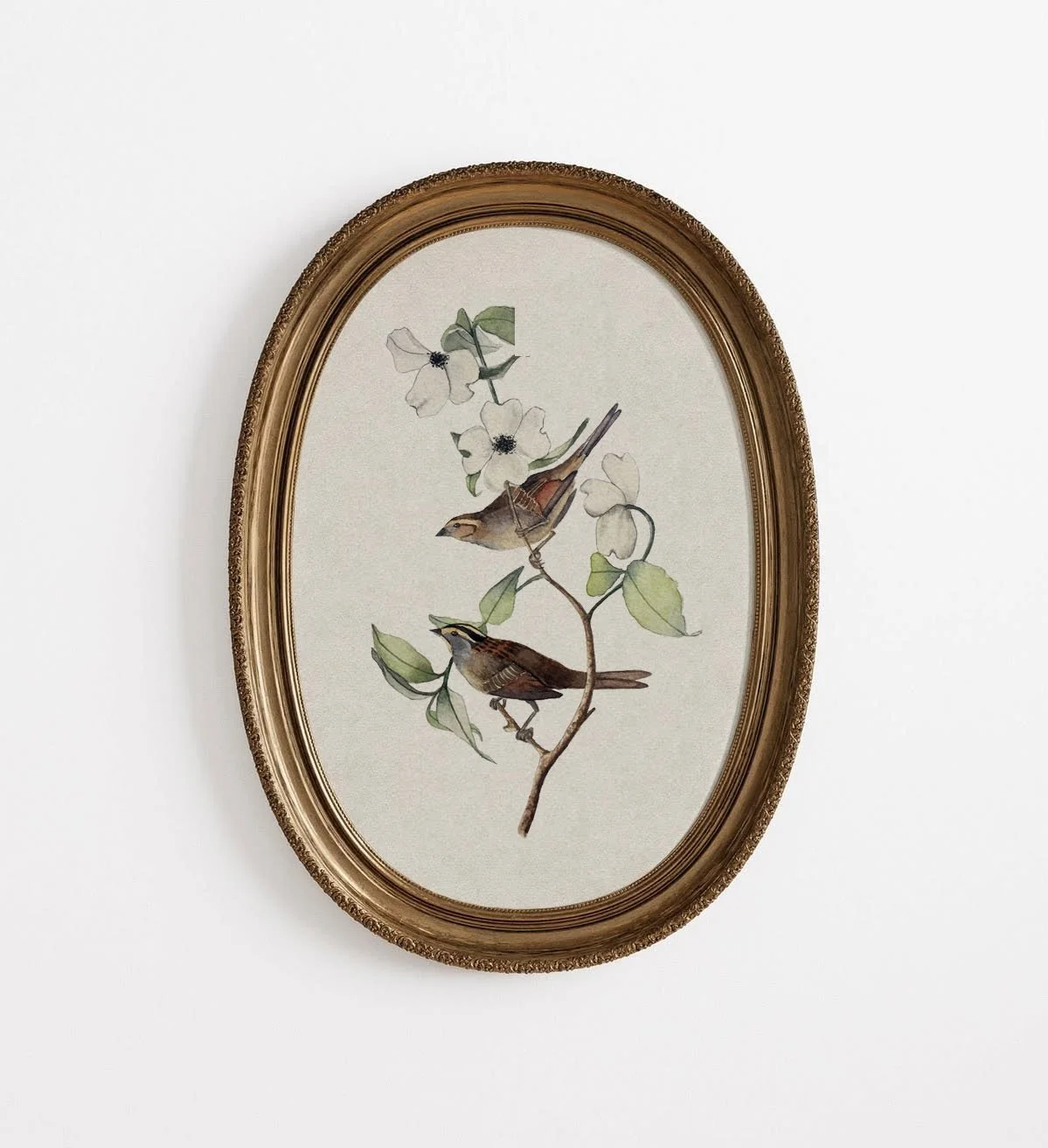 Sparrows - Limited Print