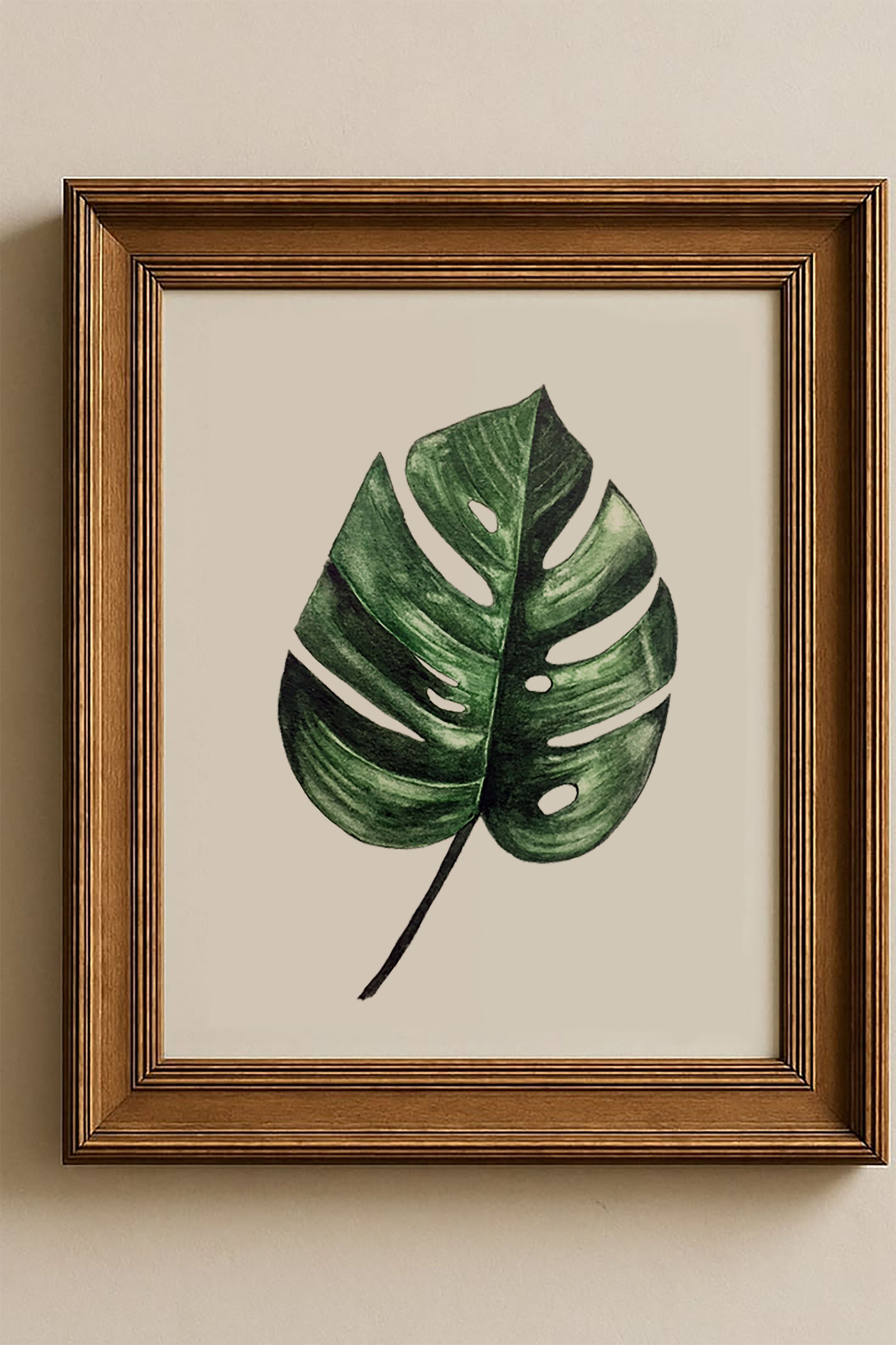 monstera 2 .jpg