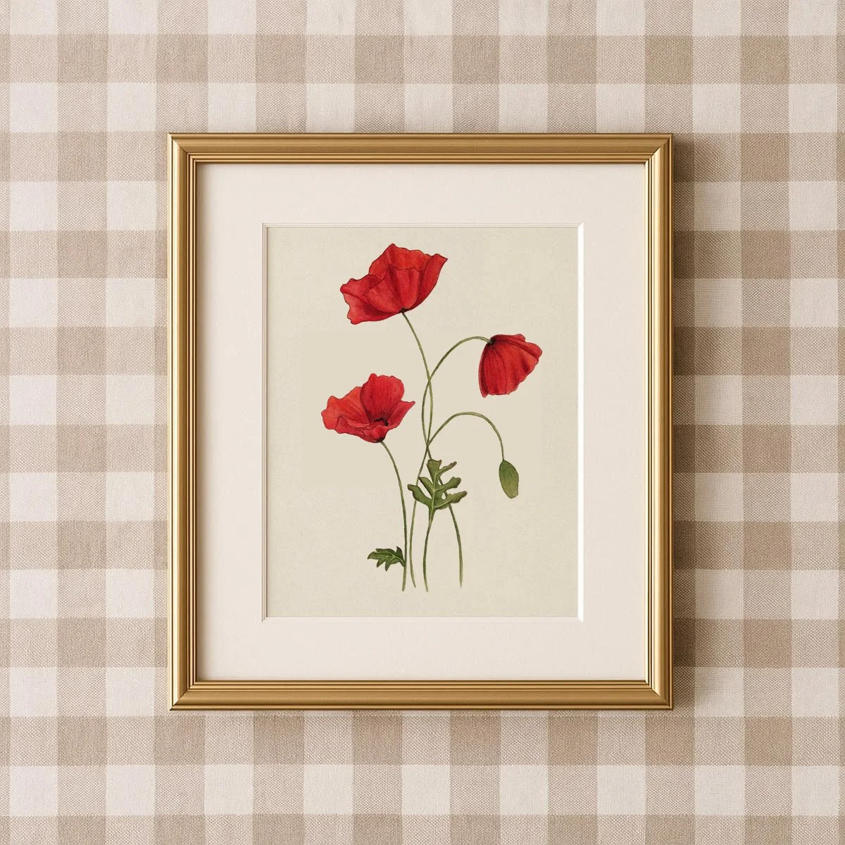 Poppy - Limited Print