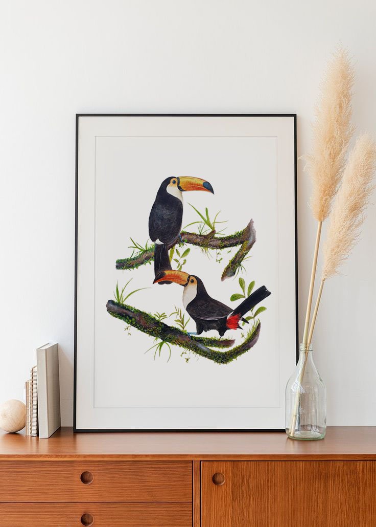 toucan cadre new.jpg