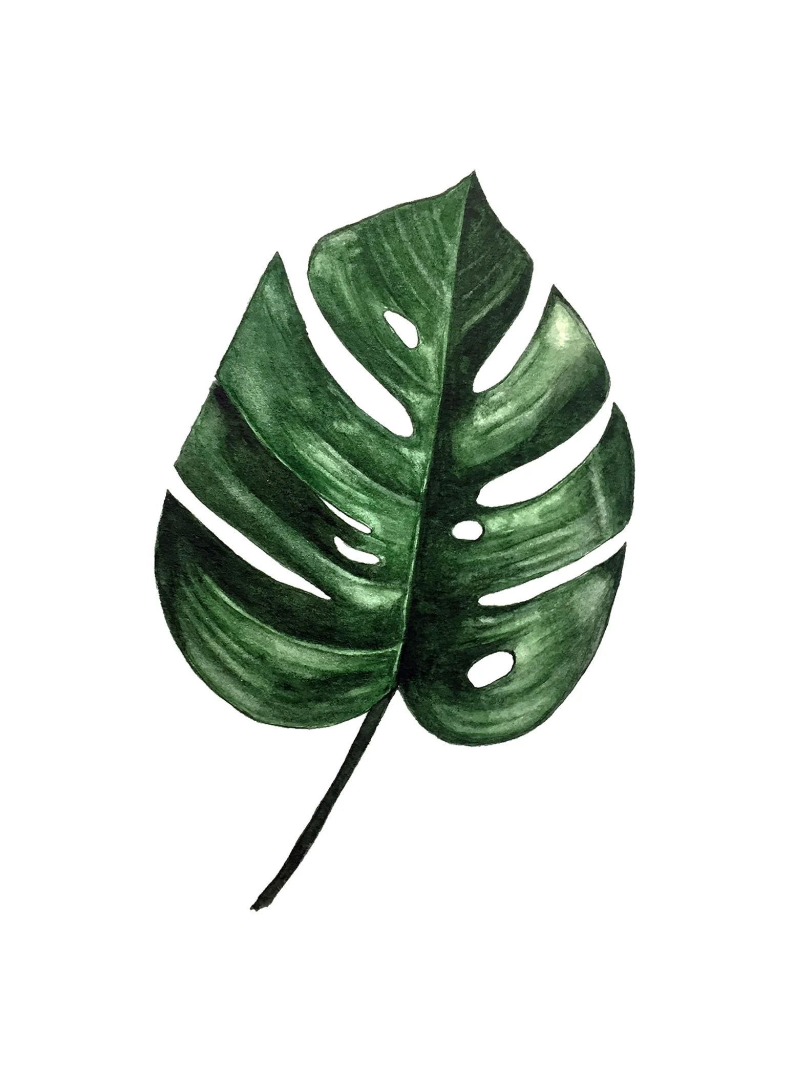 leaf 13x18.jpg