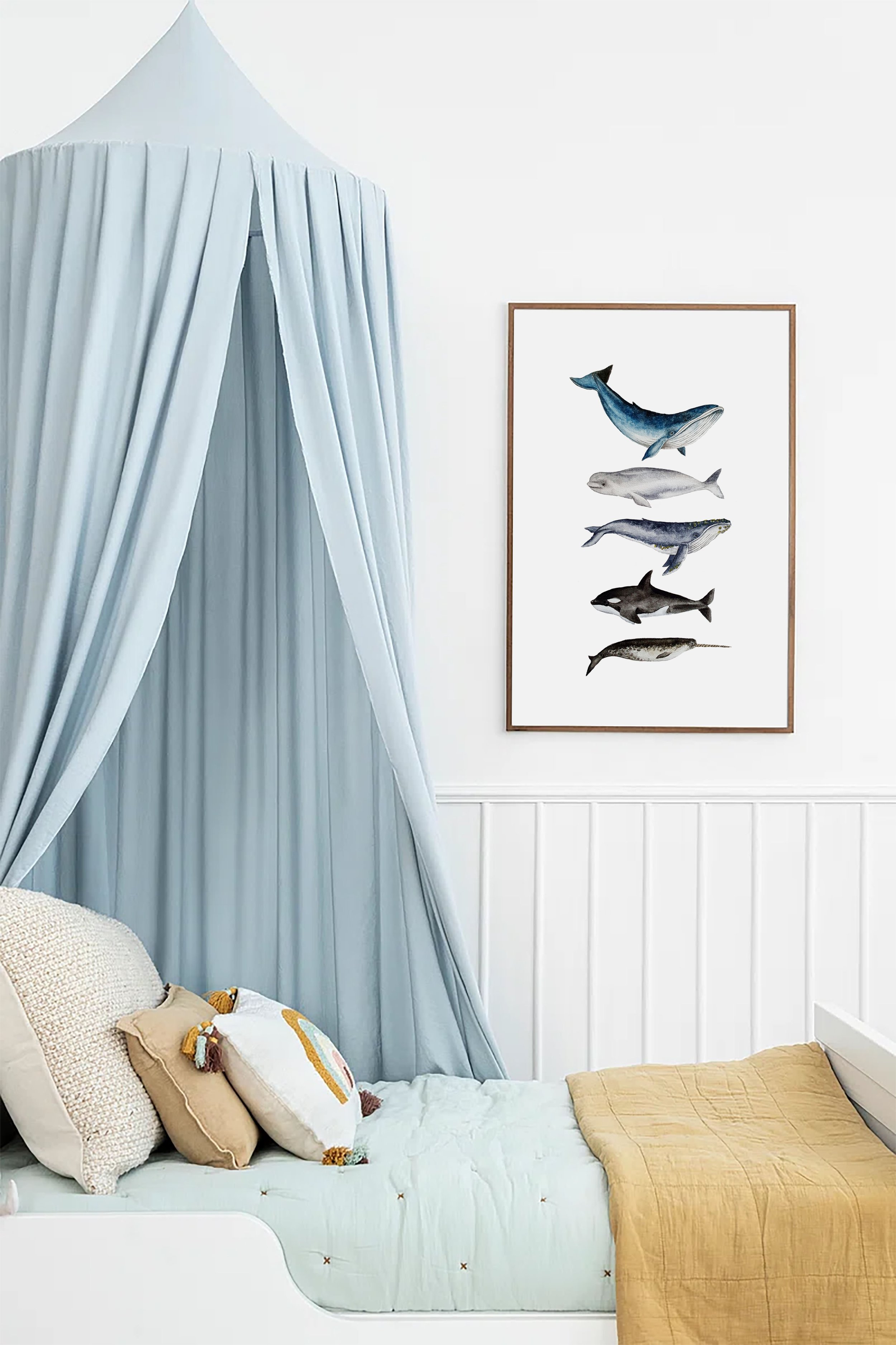 whales cadre 3.jpg