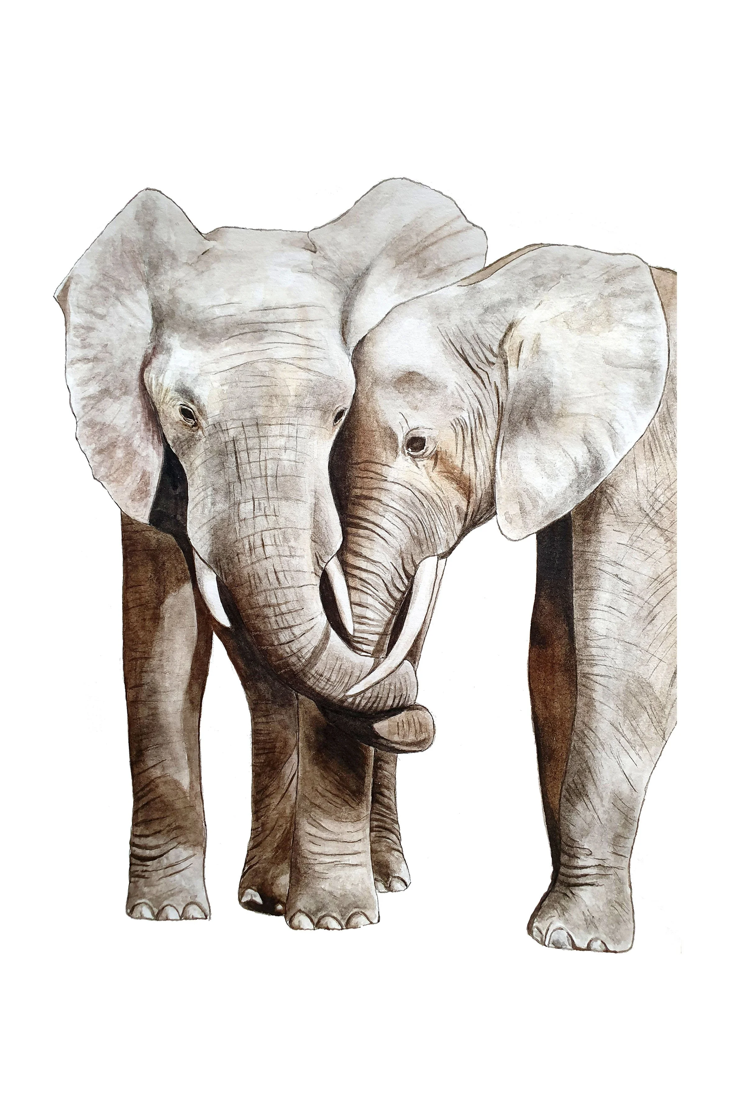elephants 20x30 copie.jpg