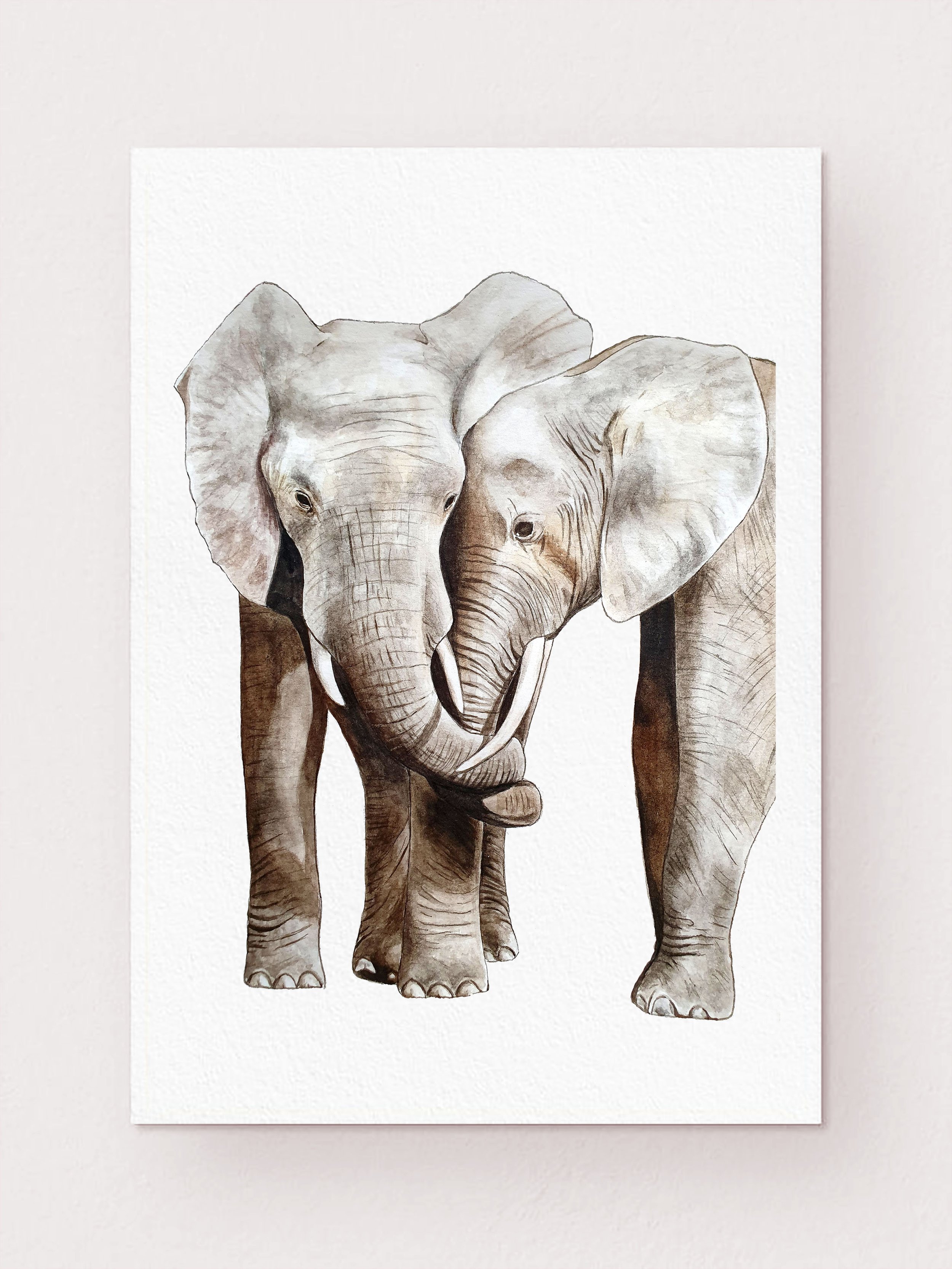 elephants 1.jpg
