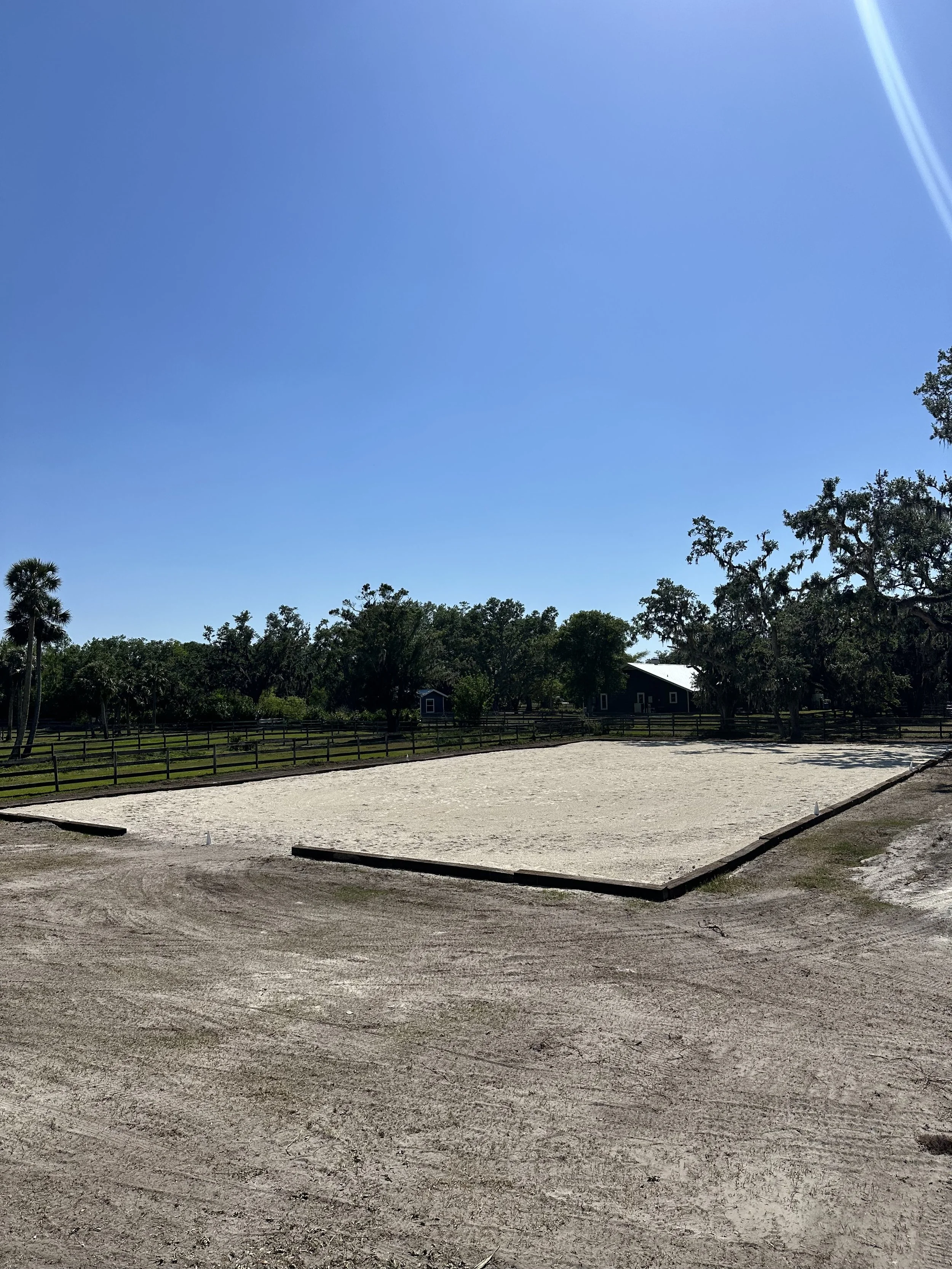 dressage arena horse equine western english