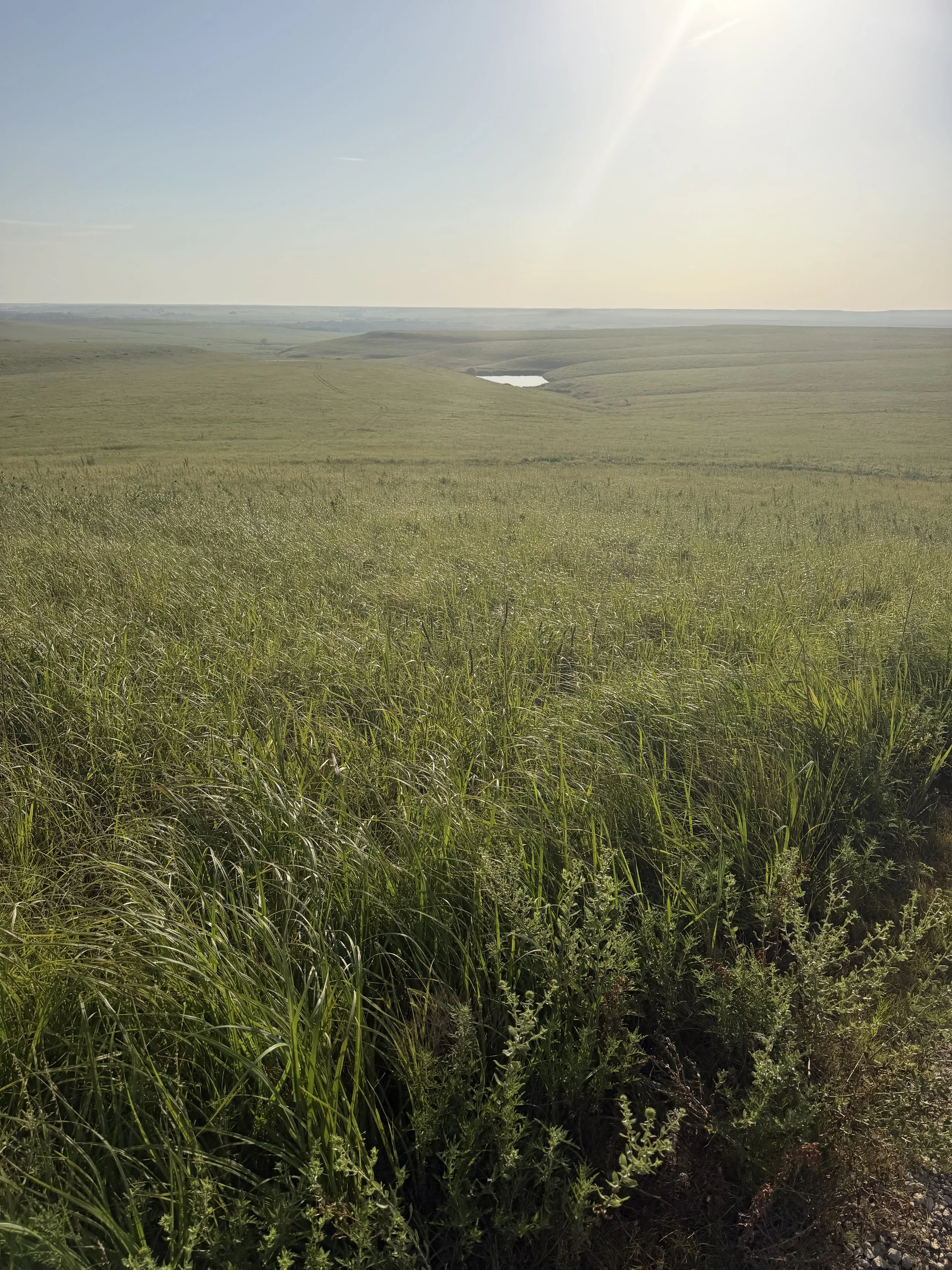 Kansas site 1.jpeg