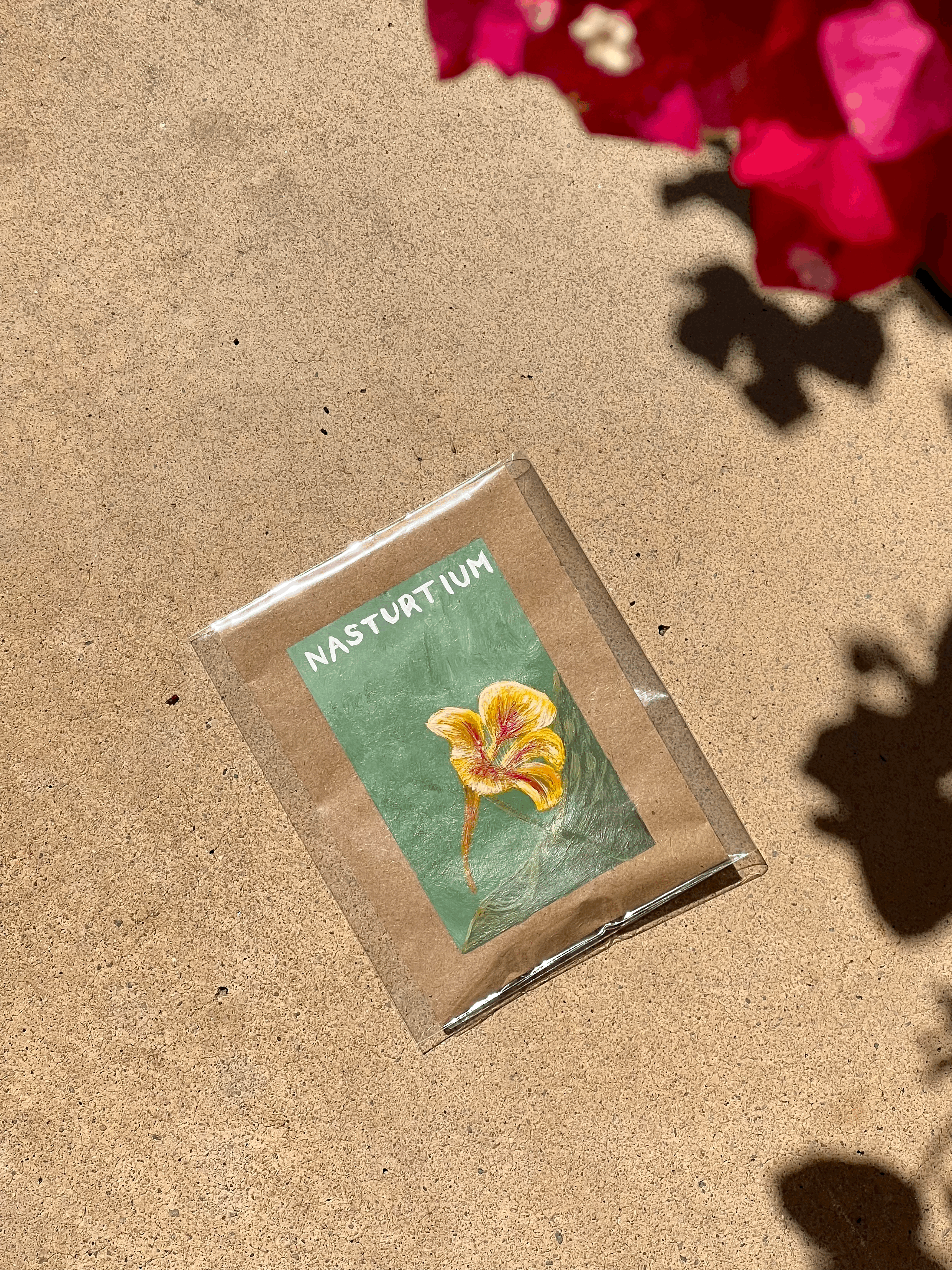 Nasturtium Flower Seed Packet Painting