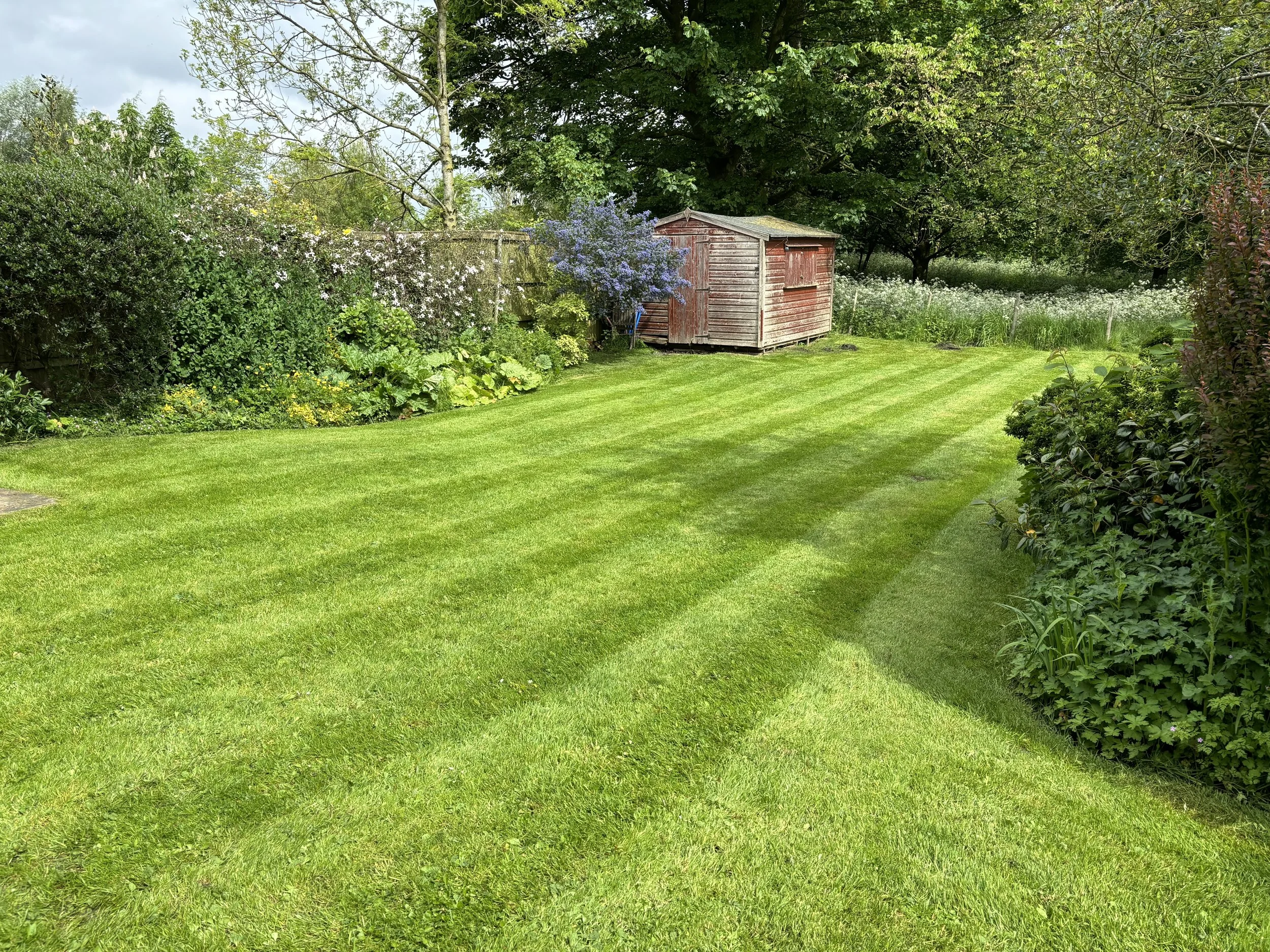 Garden Maintenance