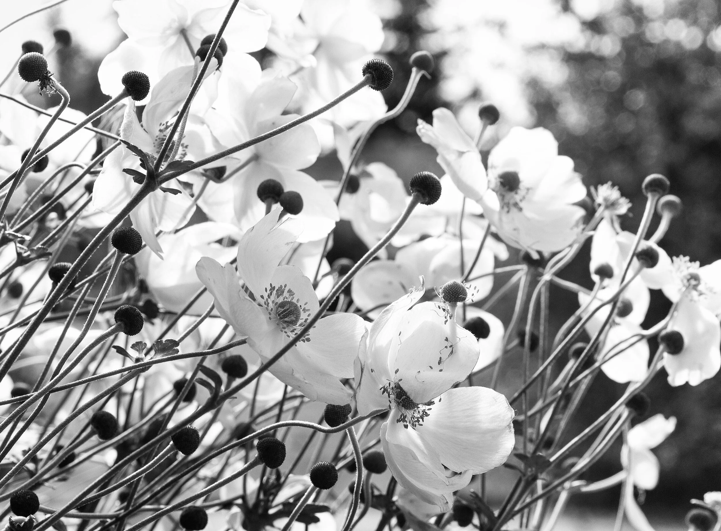 Understanding Your Past to Create Change in the Present with Psychodynamic Counselling