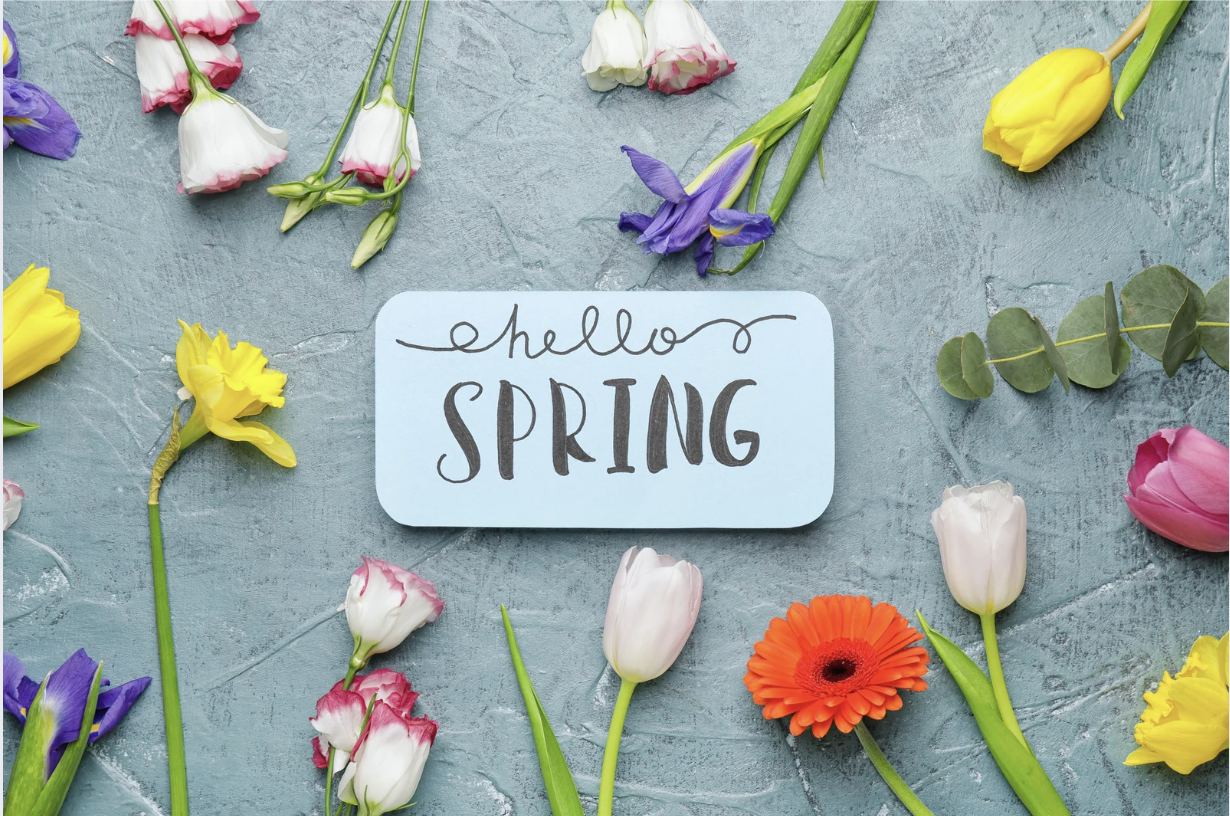 Spring Cleaning Your Estate Plan: Why Now Is the Time to Review or Start Planning