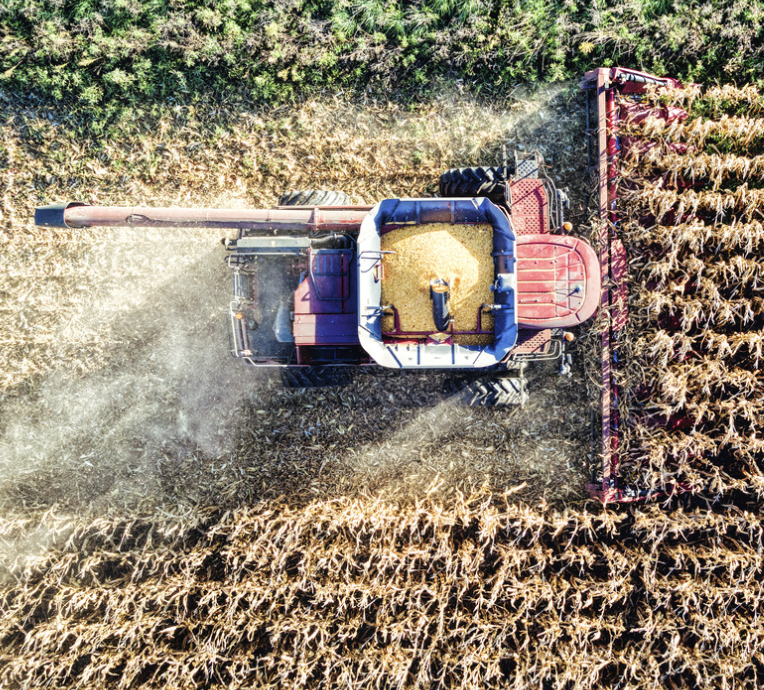 Estate Planning for Farm Families: Protecting Land, Legacy, and Livelihood