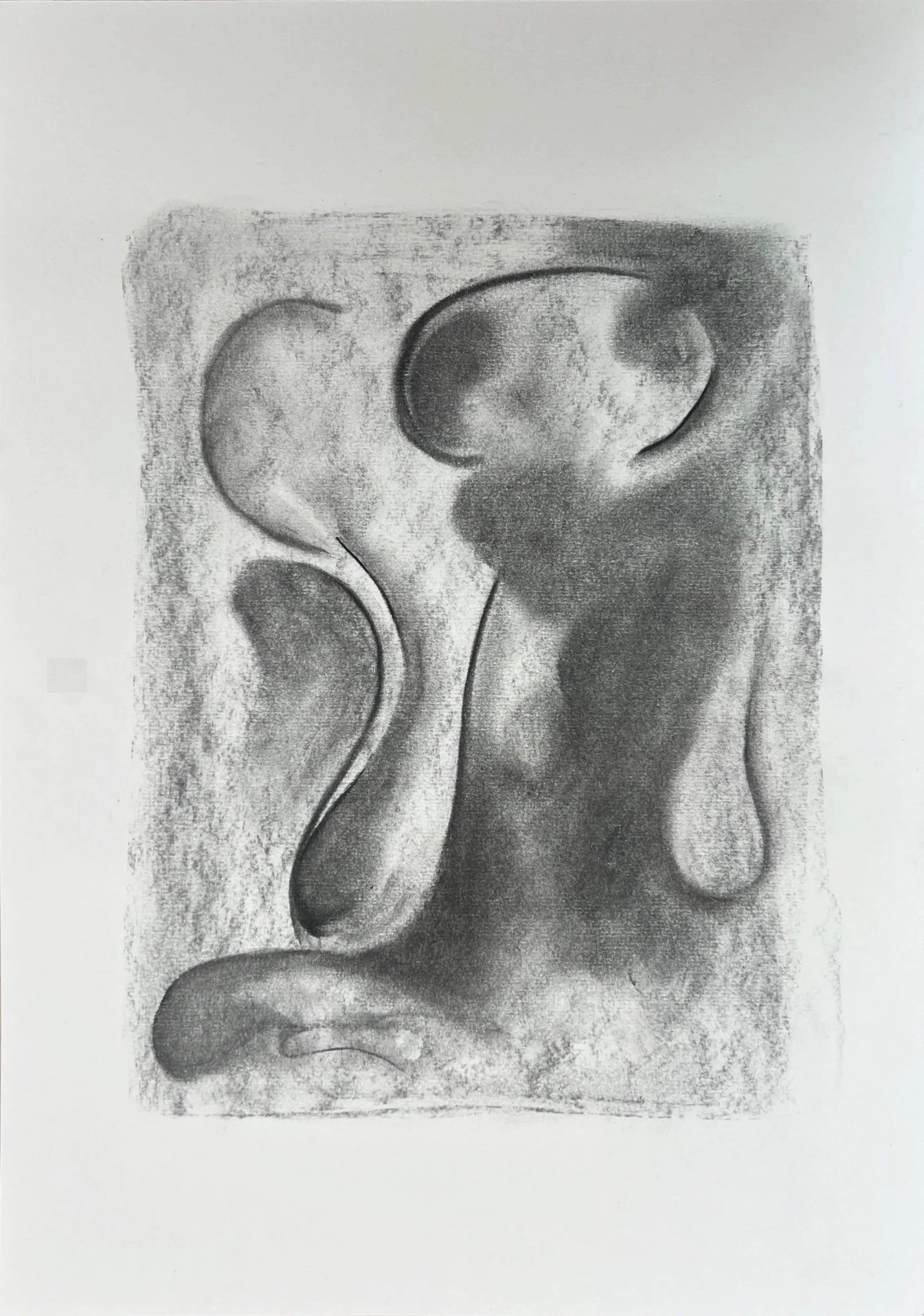 'Disturbed' charcoal on paper, 29.7 x 42 cm, 2025