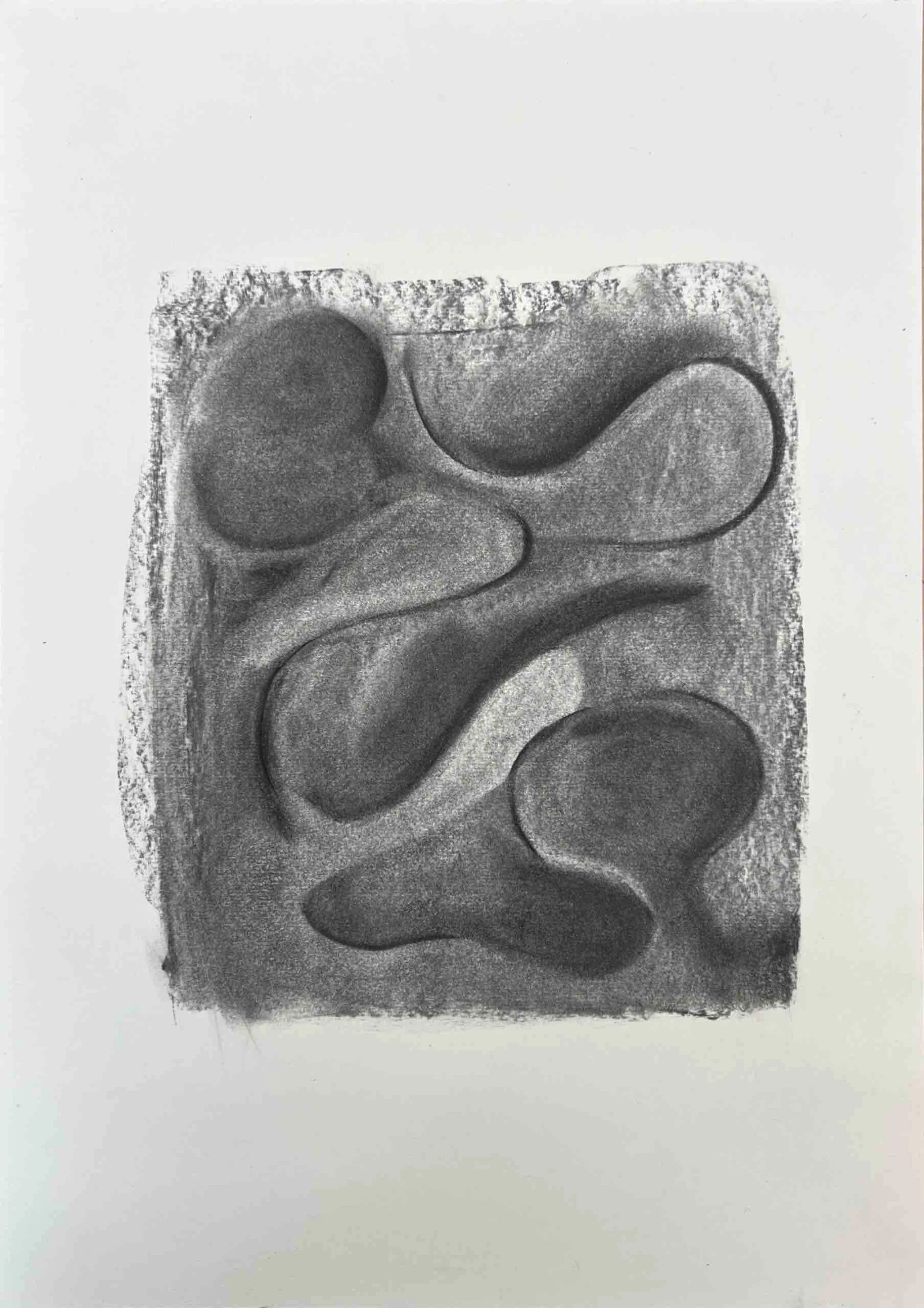 'Growth' charcoal on paper, 29.7 x 42 cm, 2025