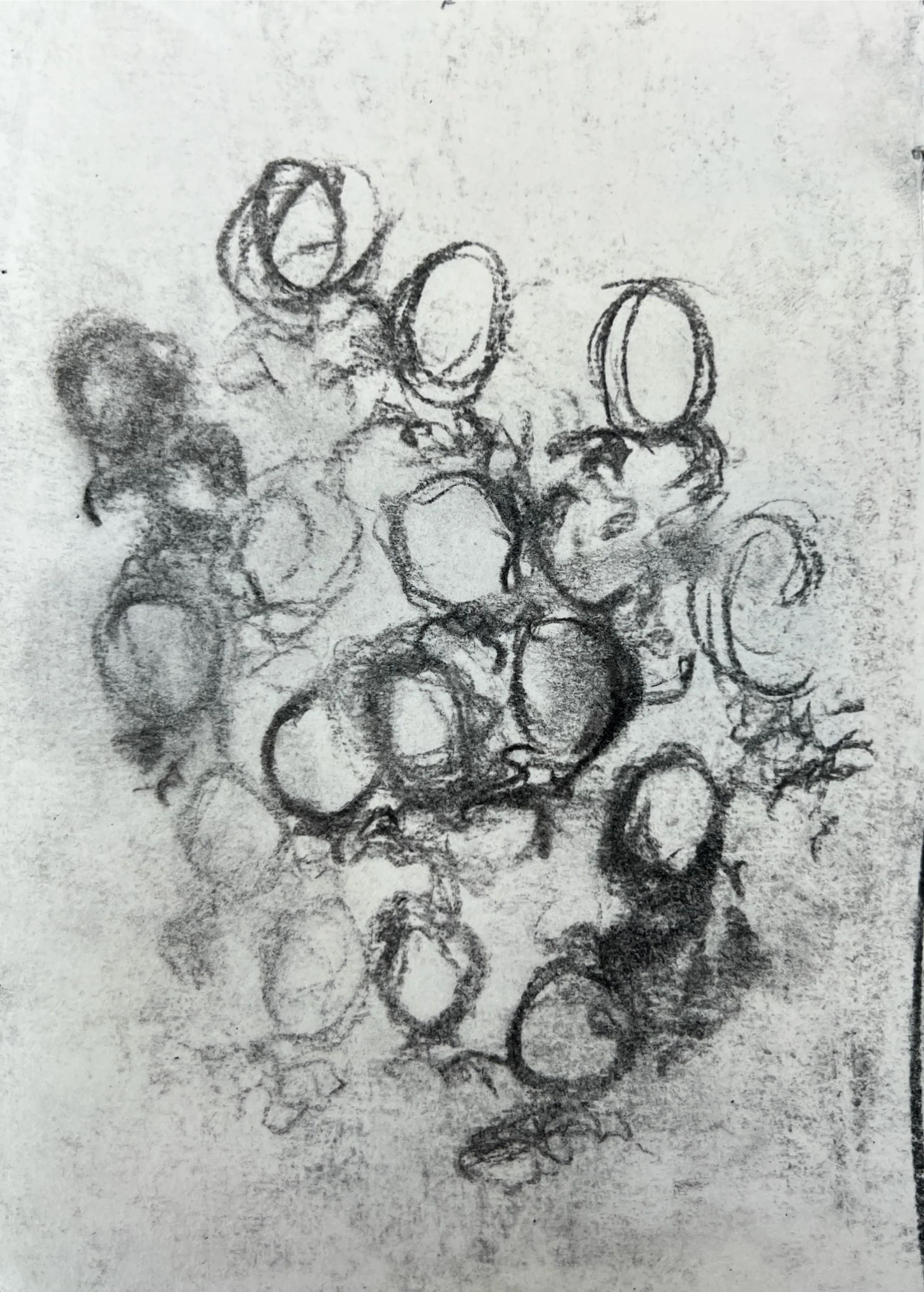 'Untitled IX' - sketchbook series, charcoal on paper, 12 x 17 cm, 2025