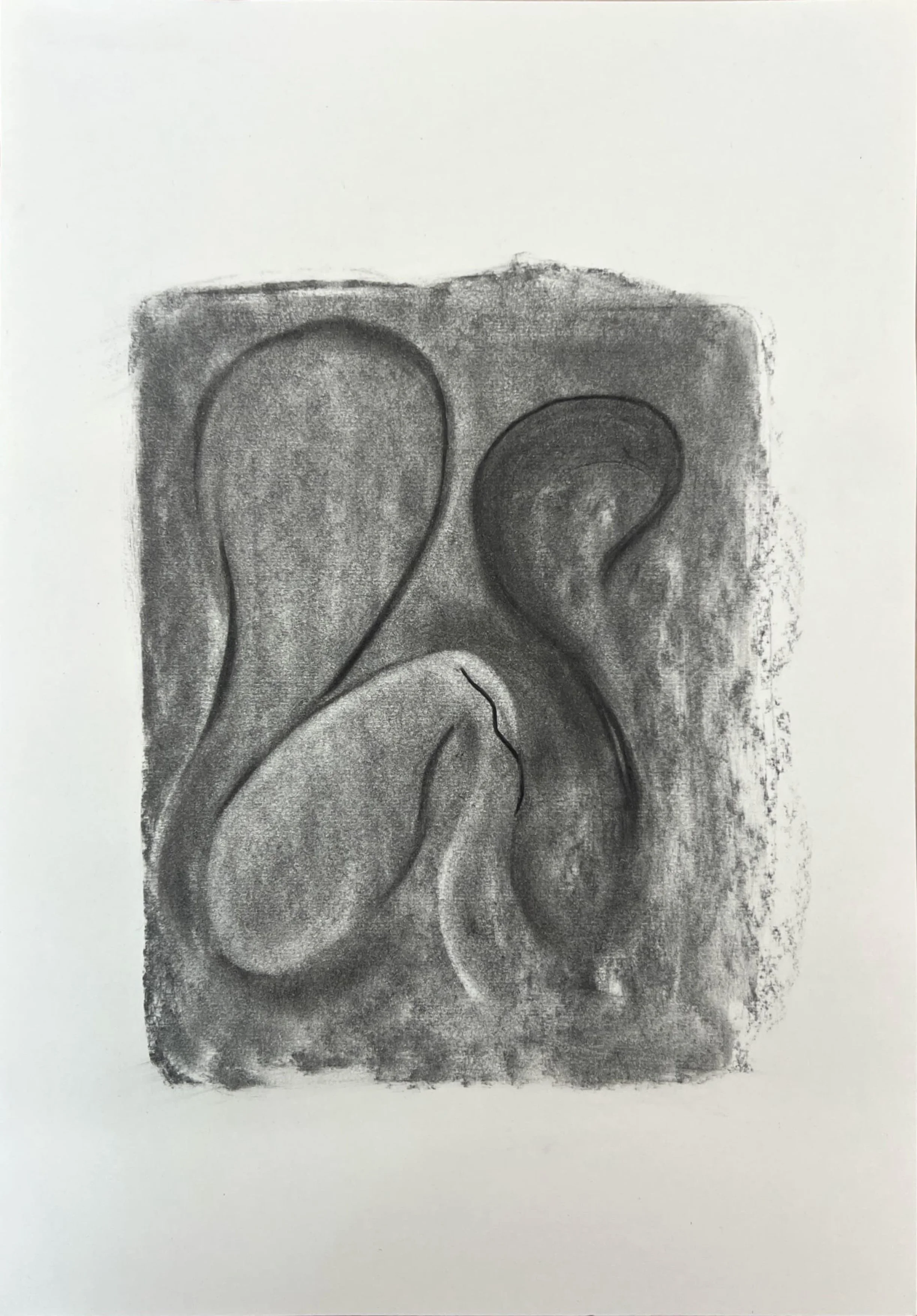 'Race for Sunlight' charcoal on paper, 29.7 x 42 cm, 2025