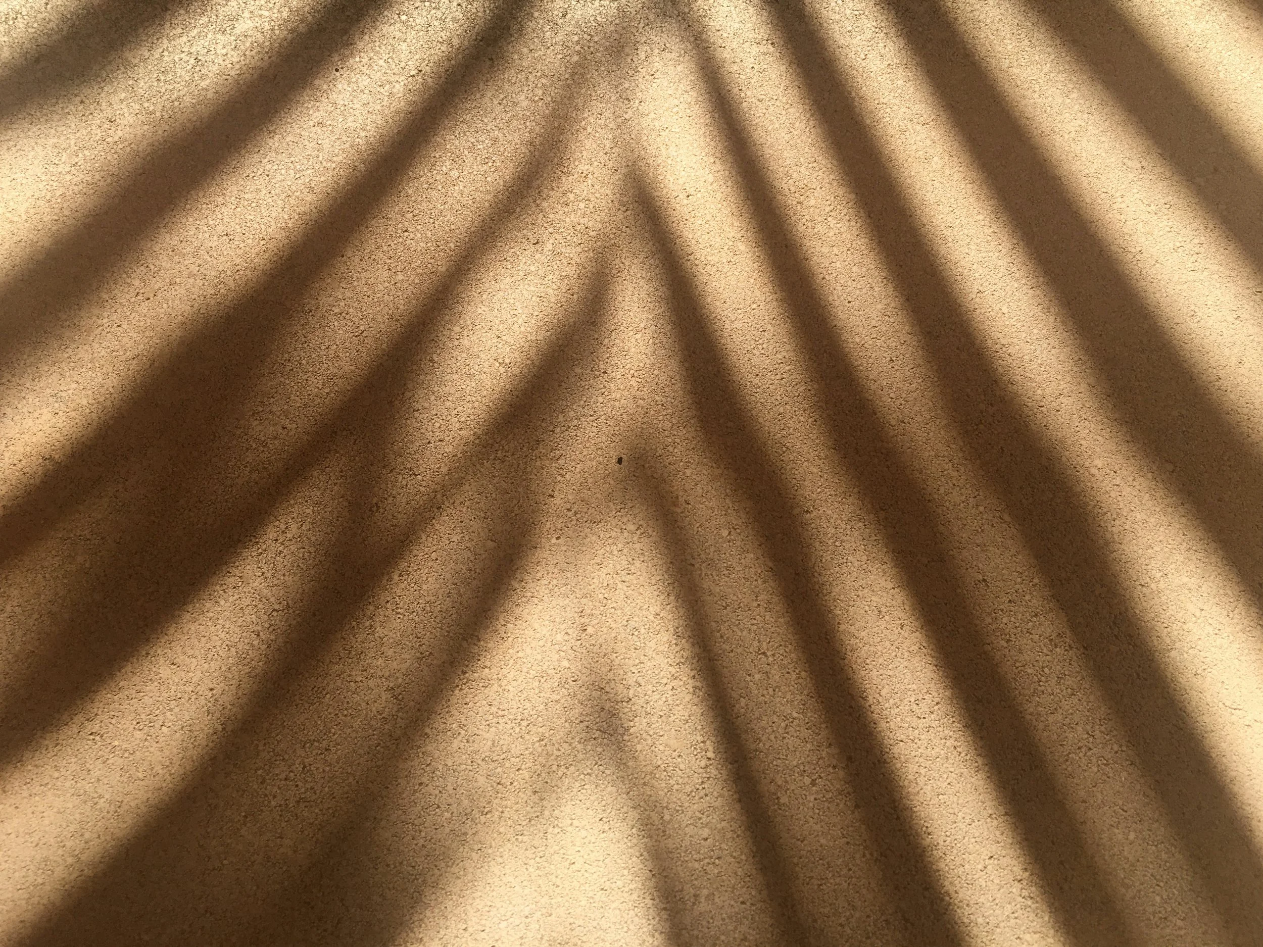 Shadows of leaves cast on beige carpeted floor.