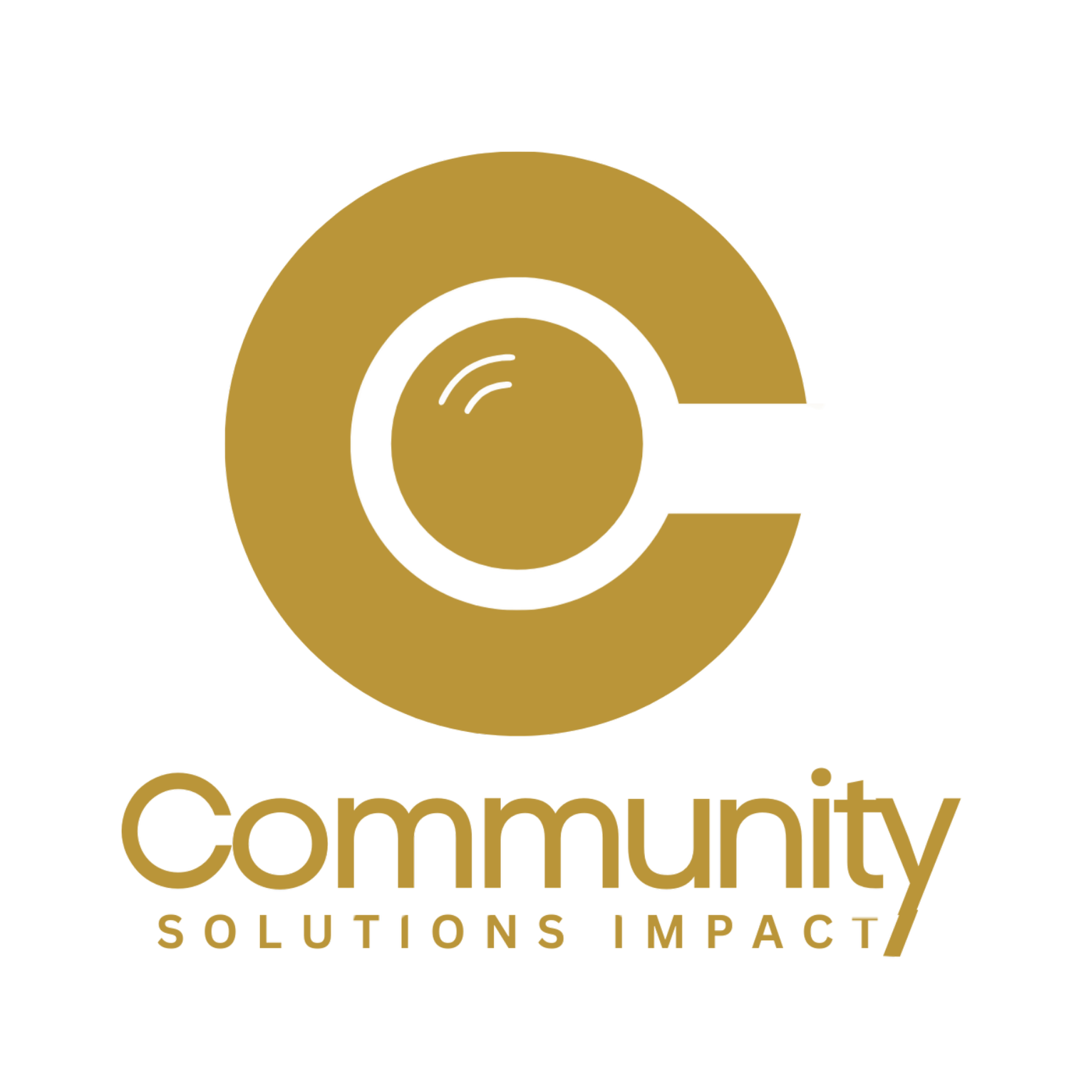 Community Solutions Impact
