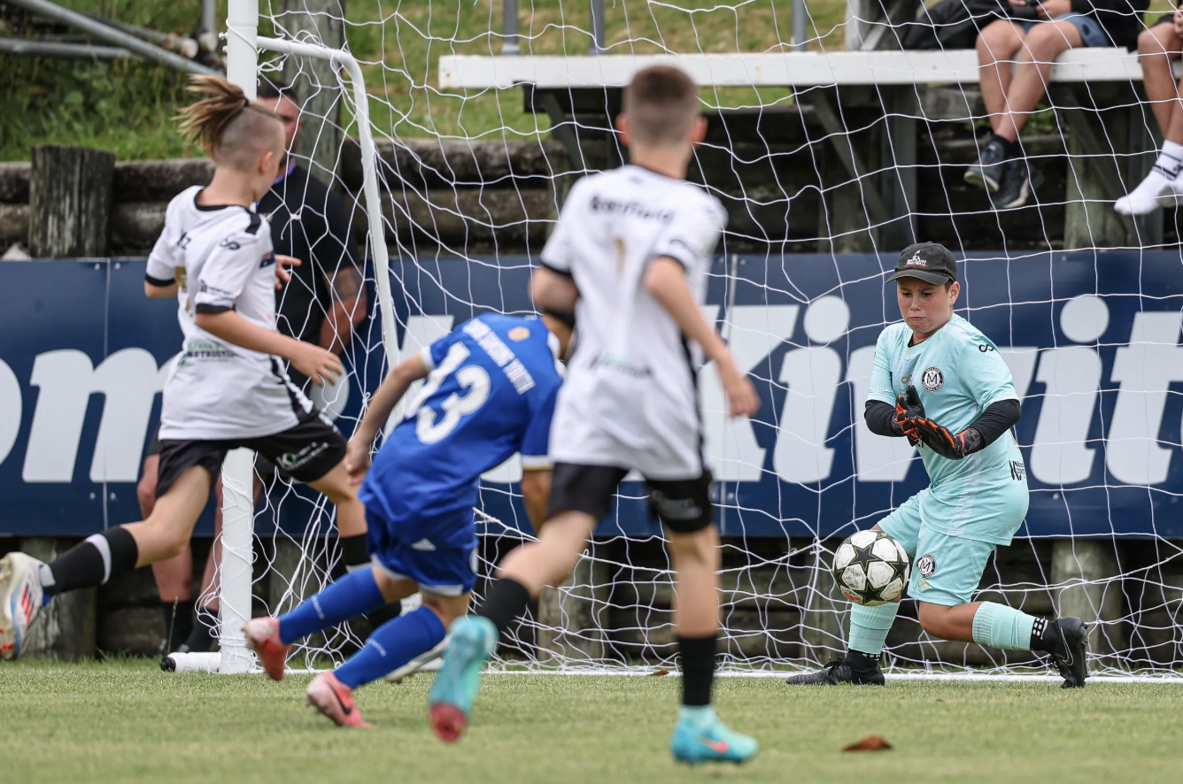 Young soccer players playing a game, with a goalkeeper preparing to catch a ball in front of the goal, while teammates are nearby on the field.