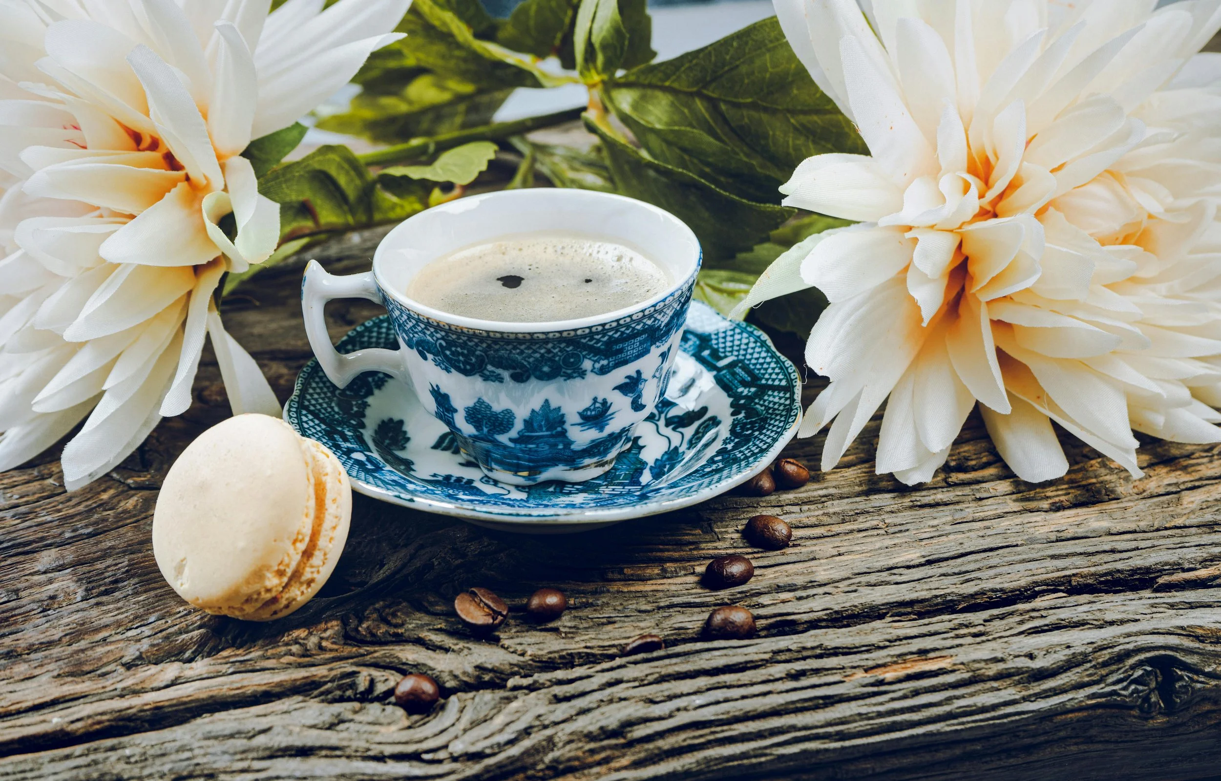 Earth – Cozy Garden Café