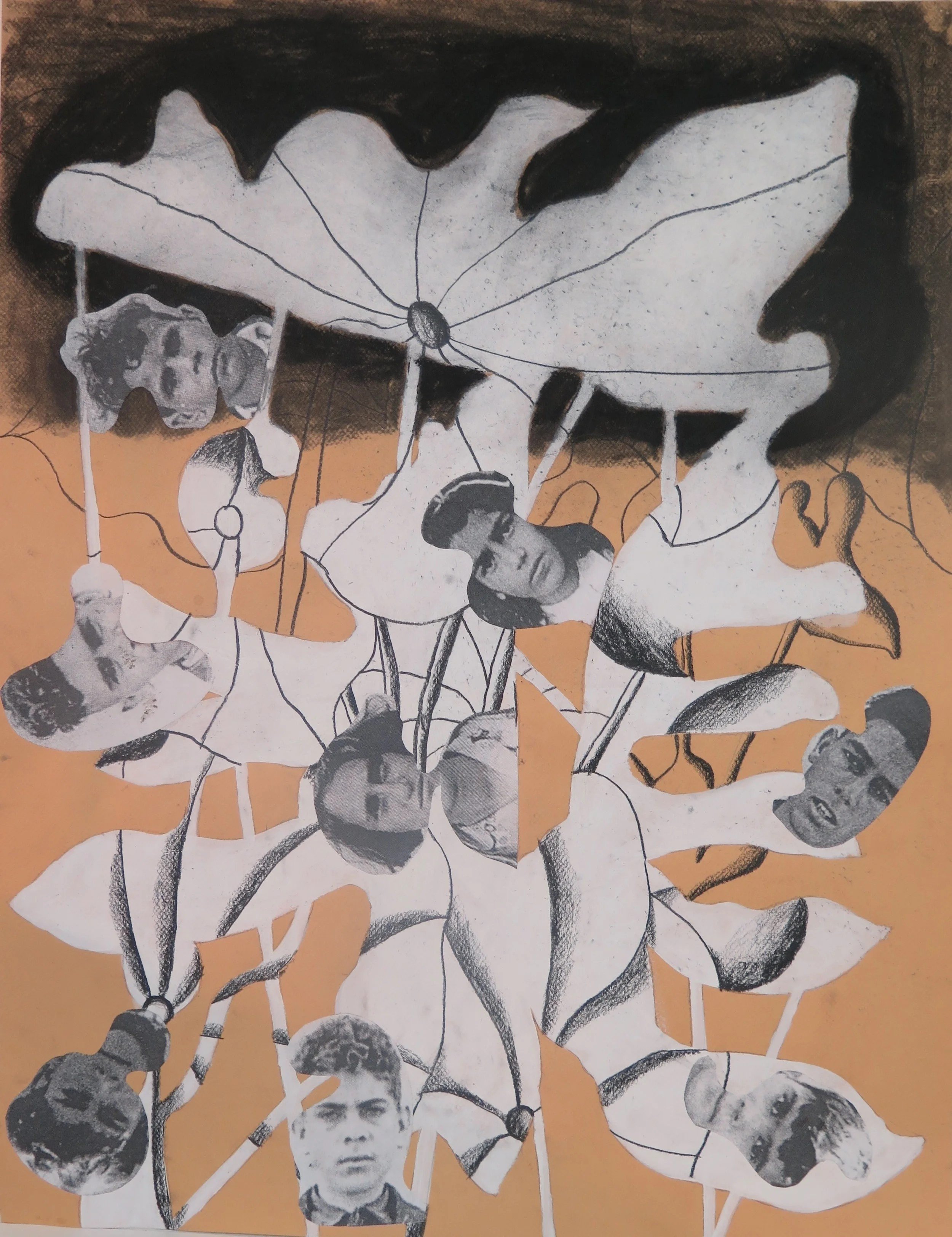 Garry Nichols, Tasmanian Families 4, canson colored paper, charcoal, collage, gesso, 25” x 19.5”
