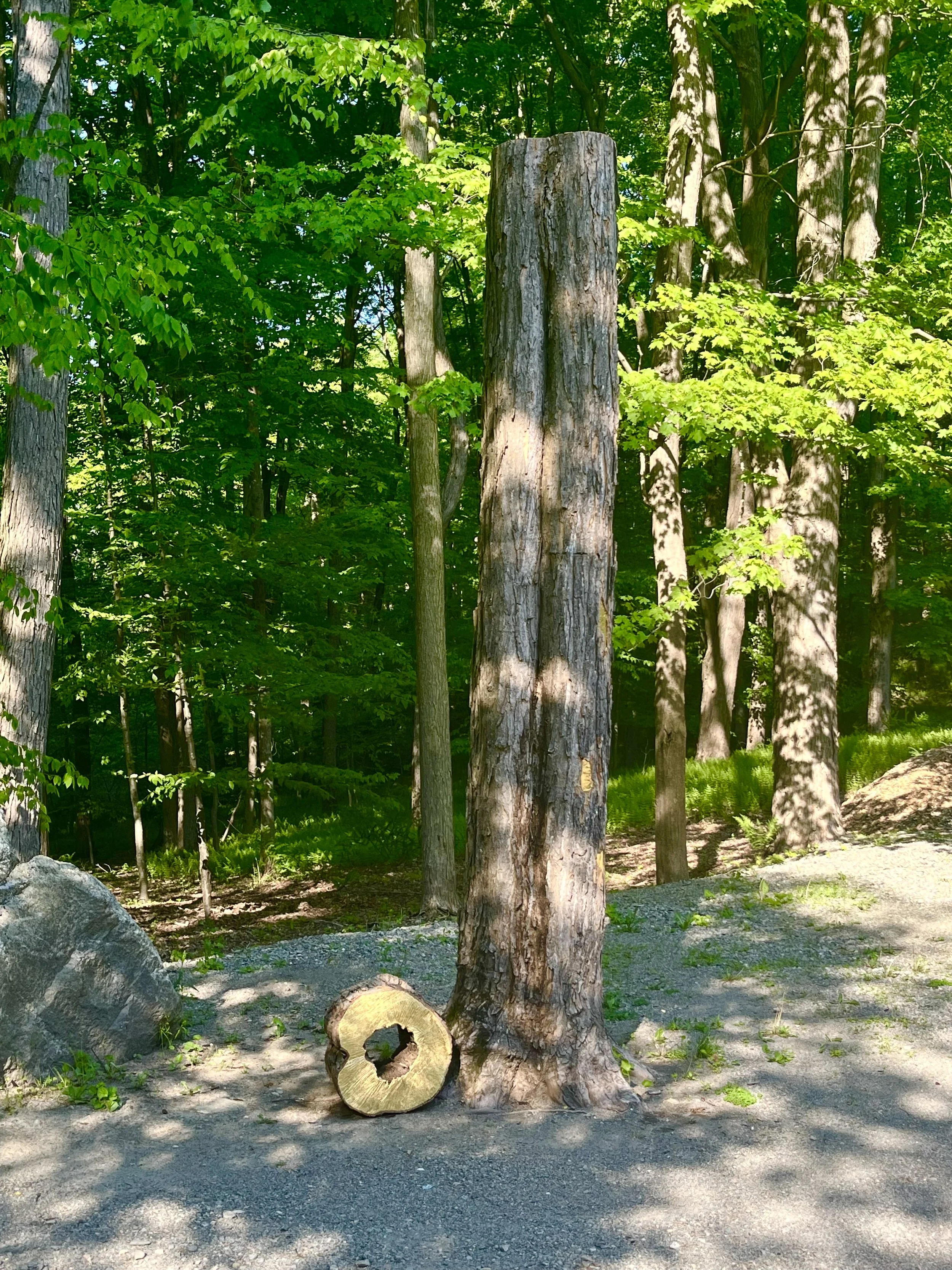 Tony Moore, Tree Totem II, 2026, cut Maple tree, 24k gold leaf, 14' x 5' x 4', Gilding by Franc Pilaia
