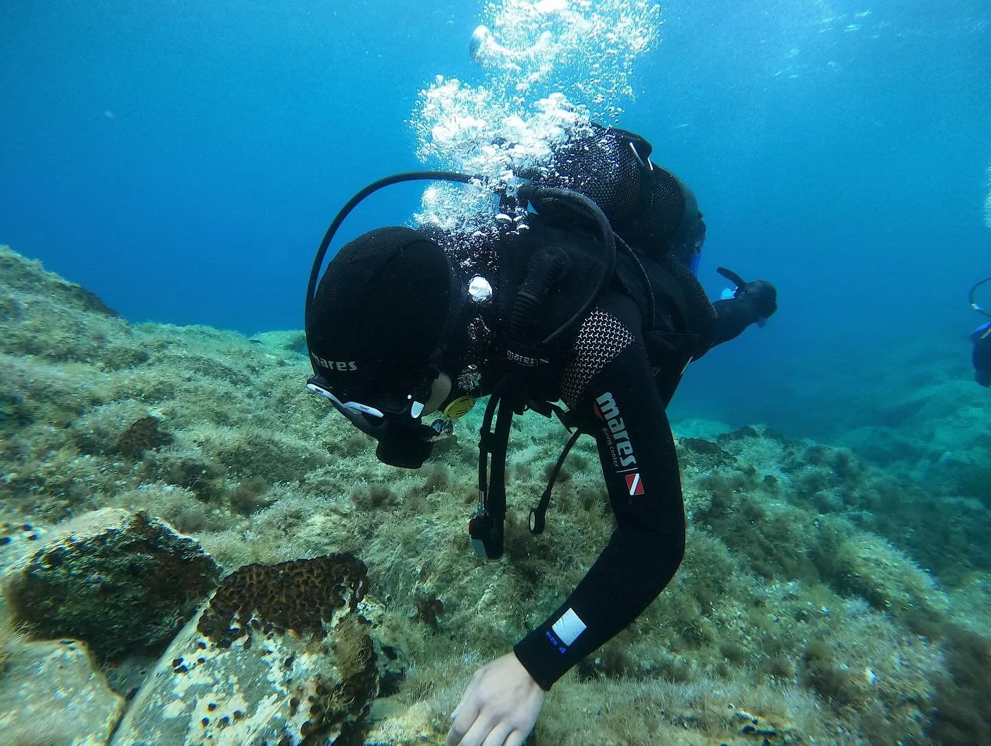 Monday feels better like this 🤿