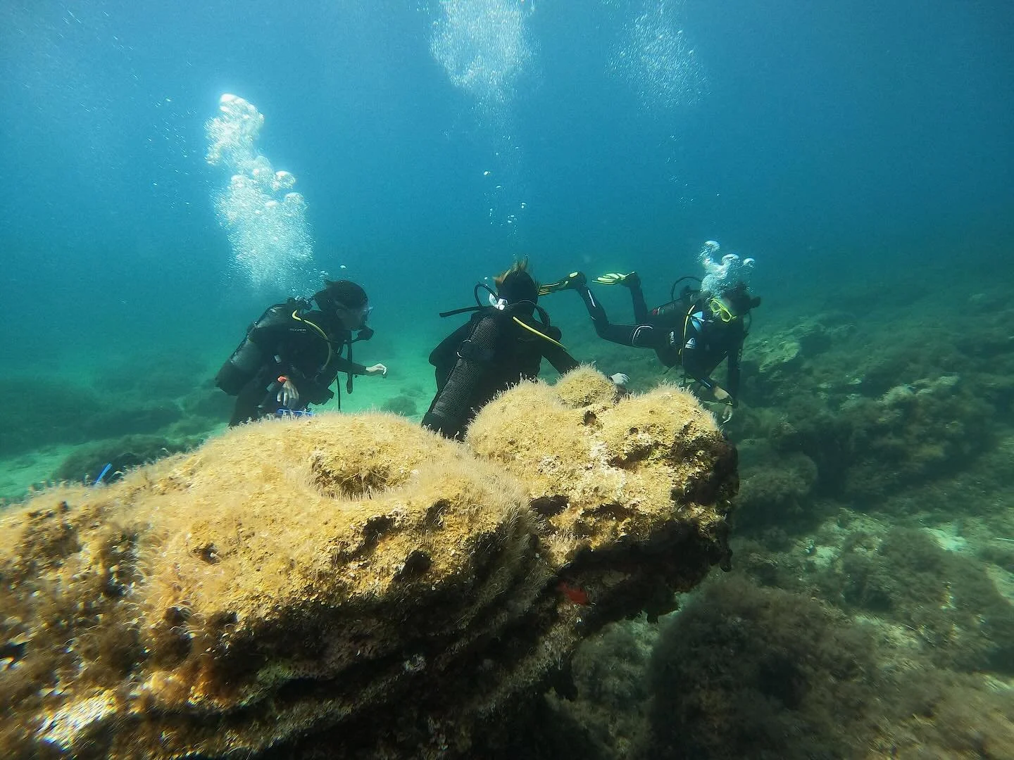 Living in another world!! 🐟🐠🐙