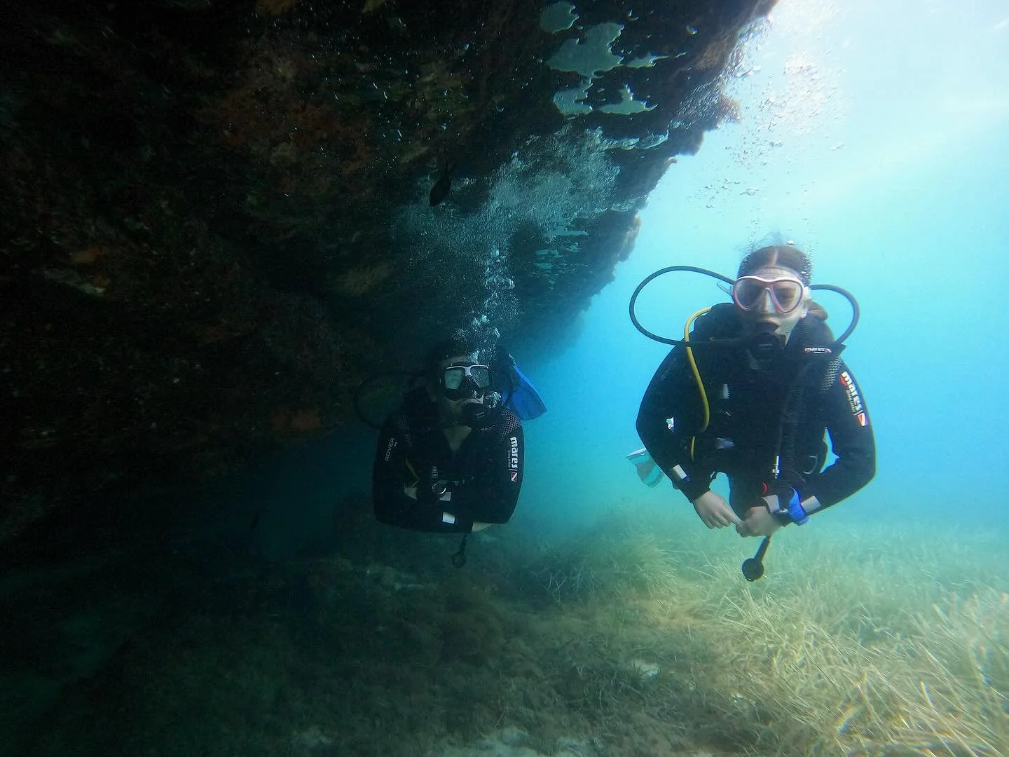 Wapitos familyy 🦭🦭